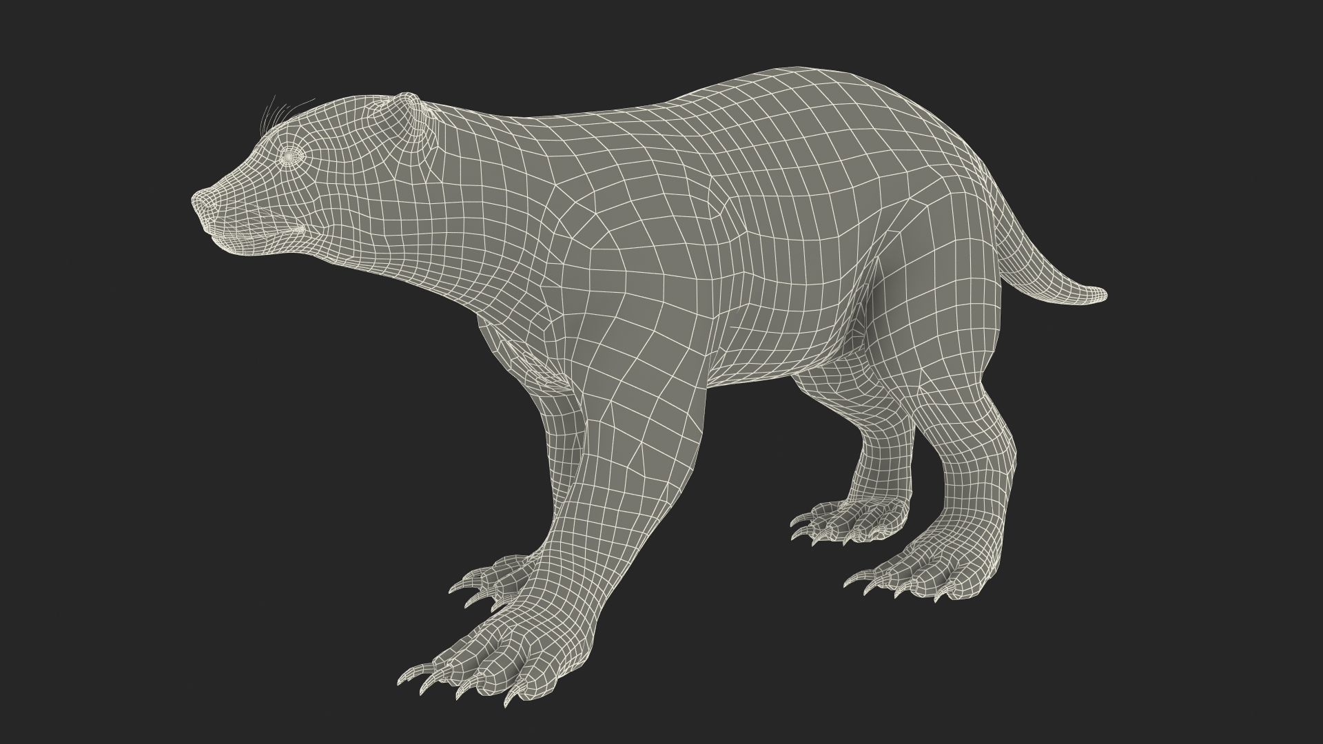 3D Wolverine Light Color Walking Pose Fur model