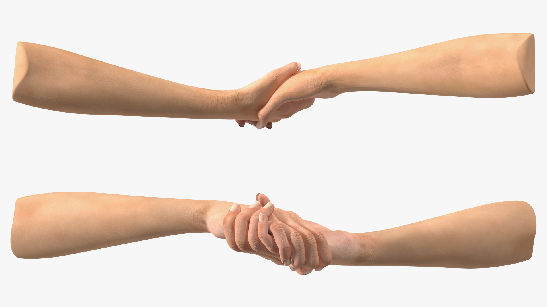 3D Handshake Female Hand Rigged model