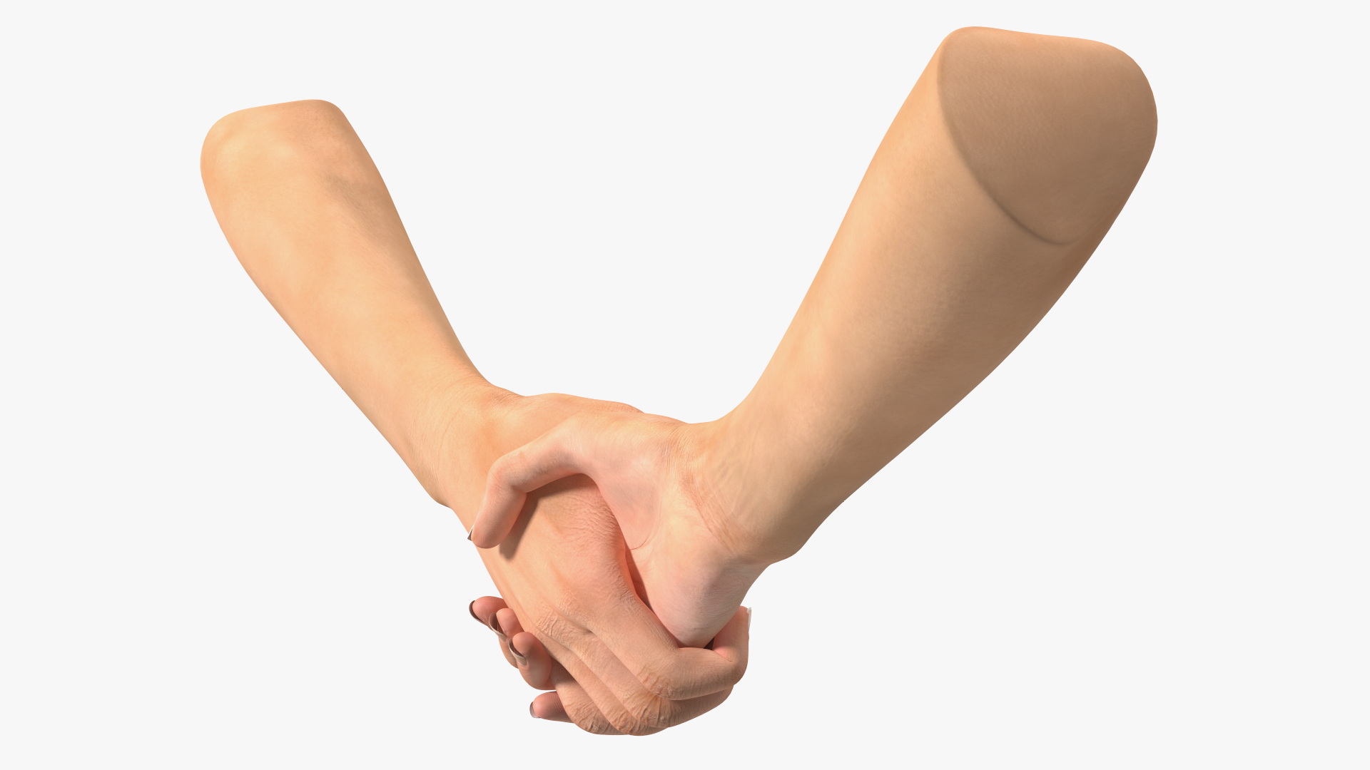 3D Handshake Female Hand Rigged model