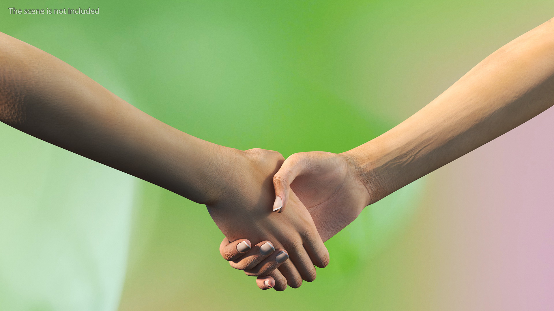 3D Handshake Female Hand Rigged model