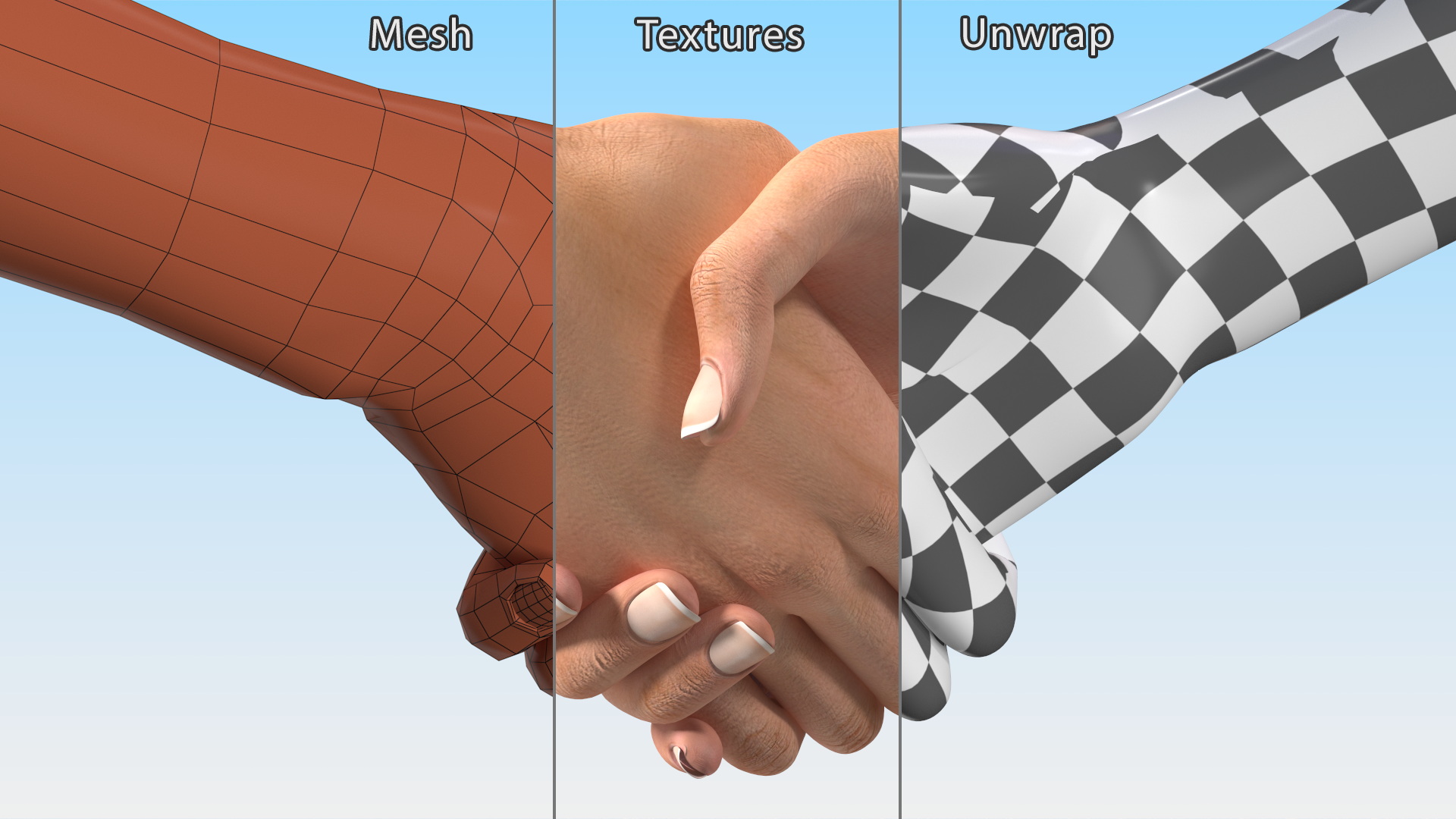 3D Handshake Female Hand Rigged model
