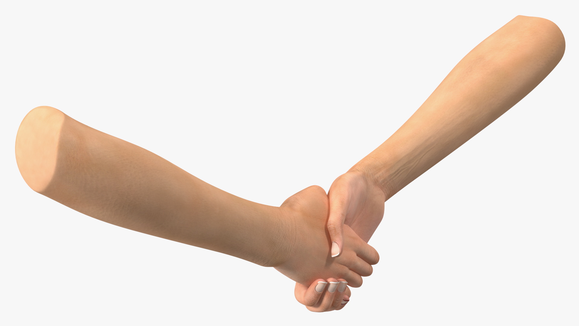 3D Handshake Female Hand Rigged model