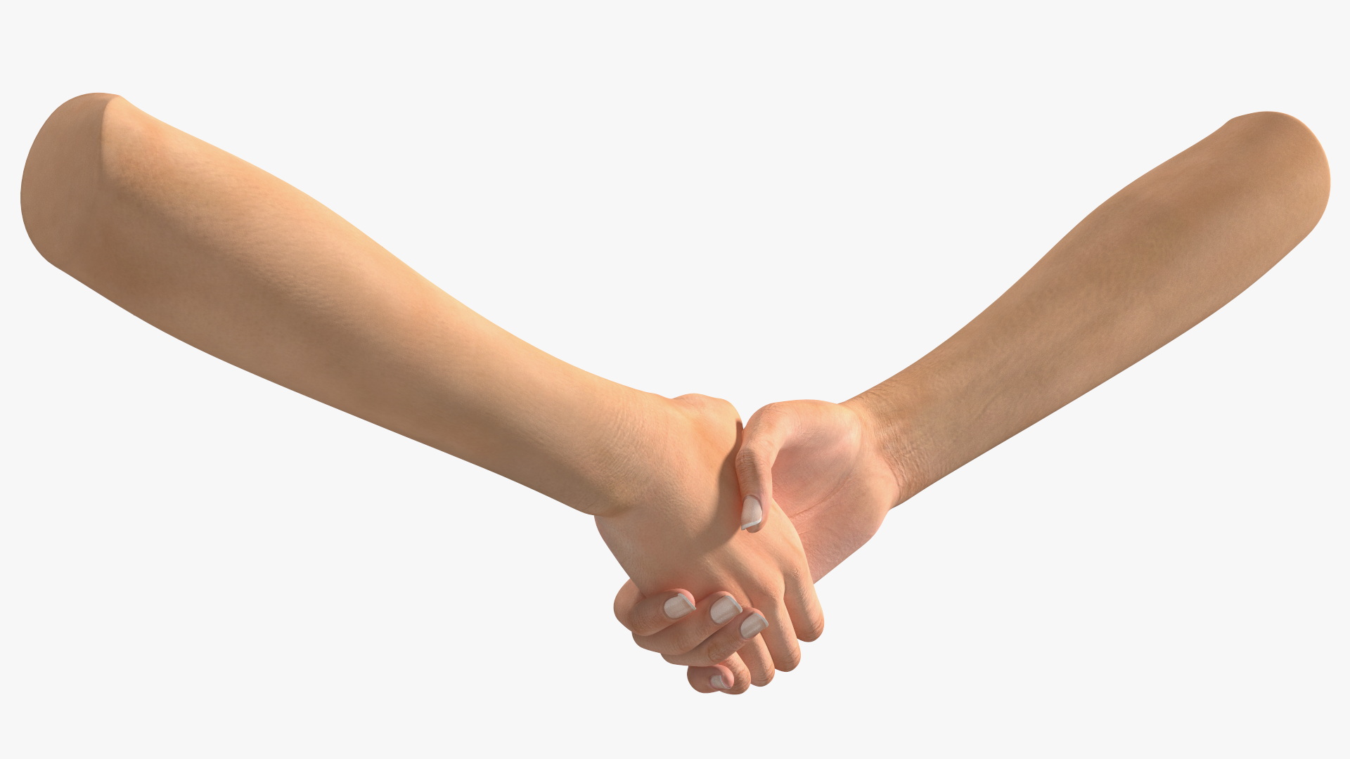 3D Handshake Female Hand Rigged model