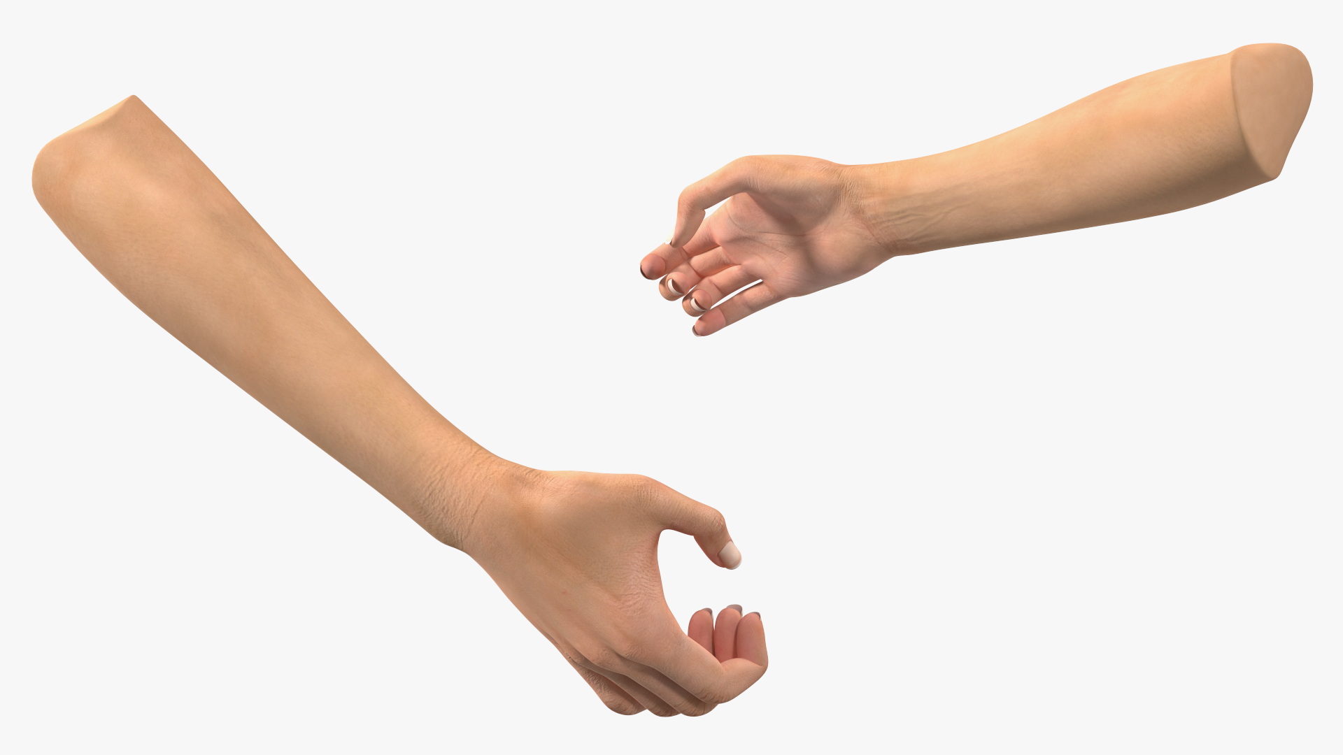 3D Handshake Female Hand Rigged model