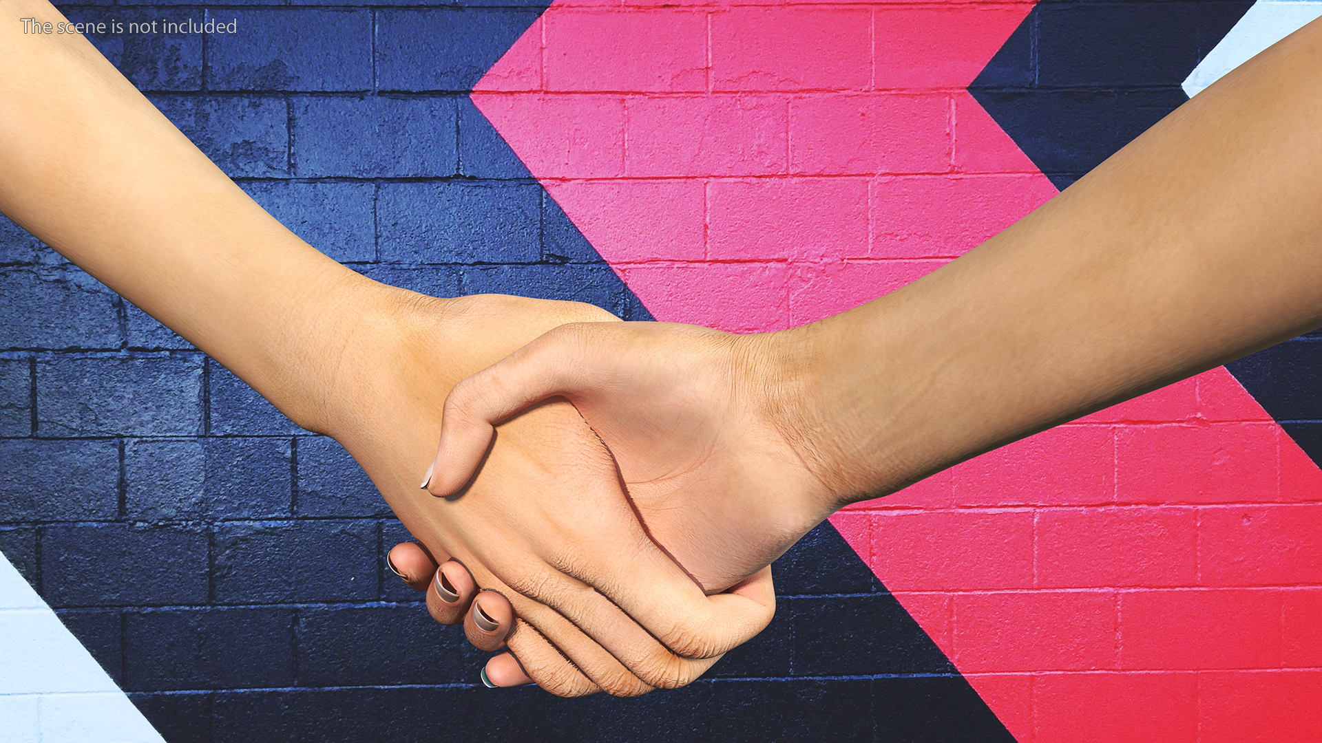 3D Handshake Female Hand Rigged model