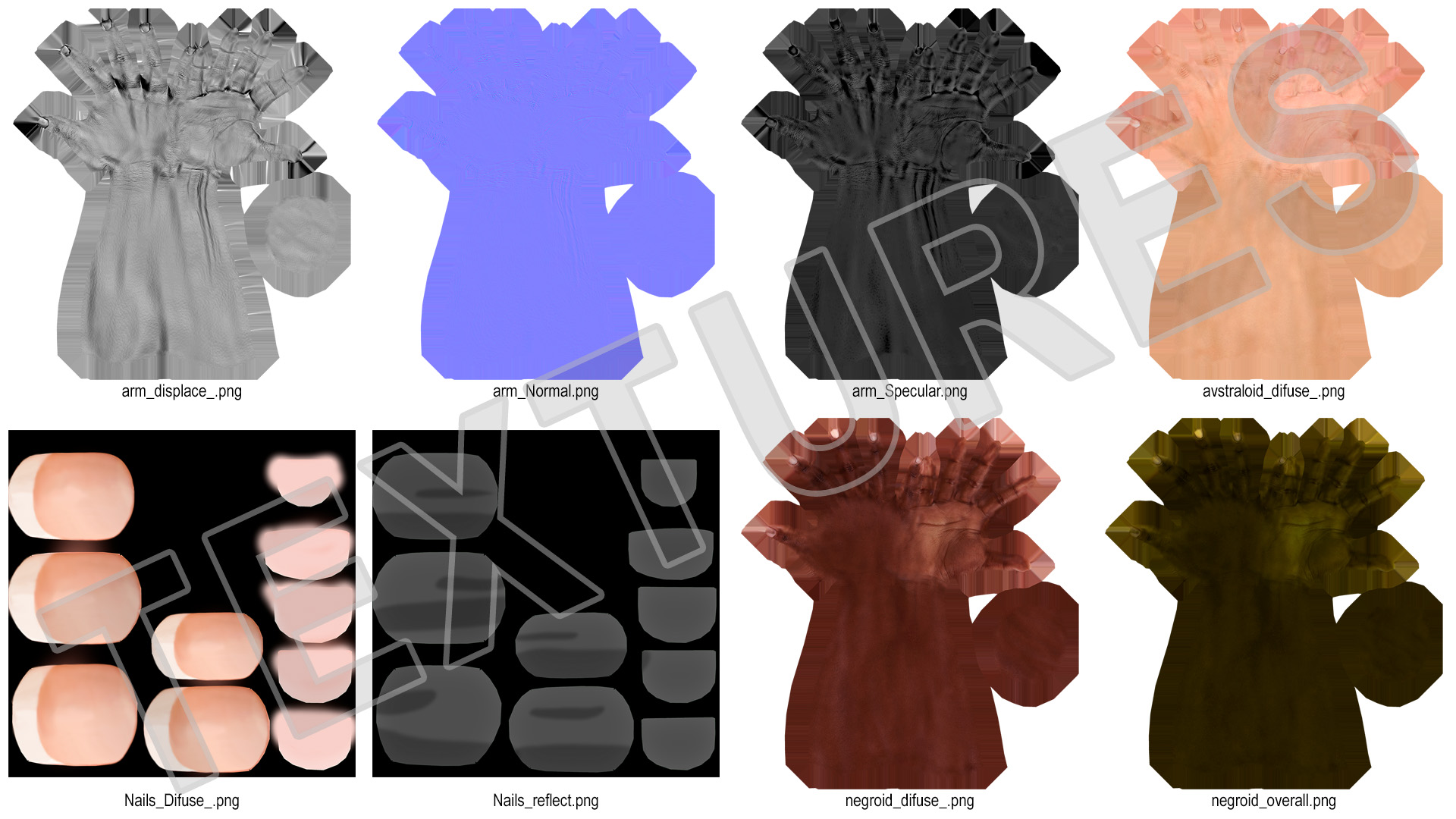 3D Handshake Female Hand Rigged model