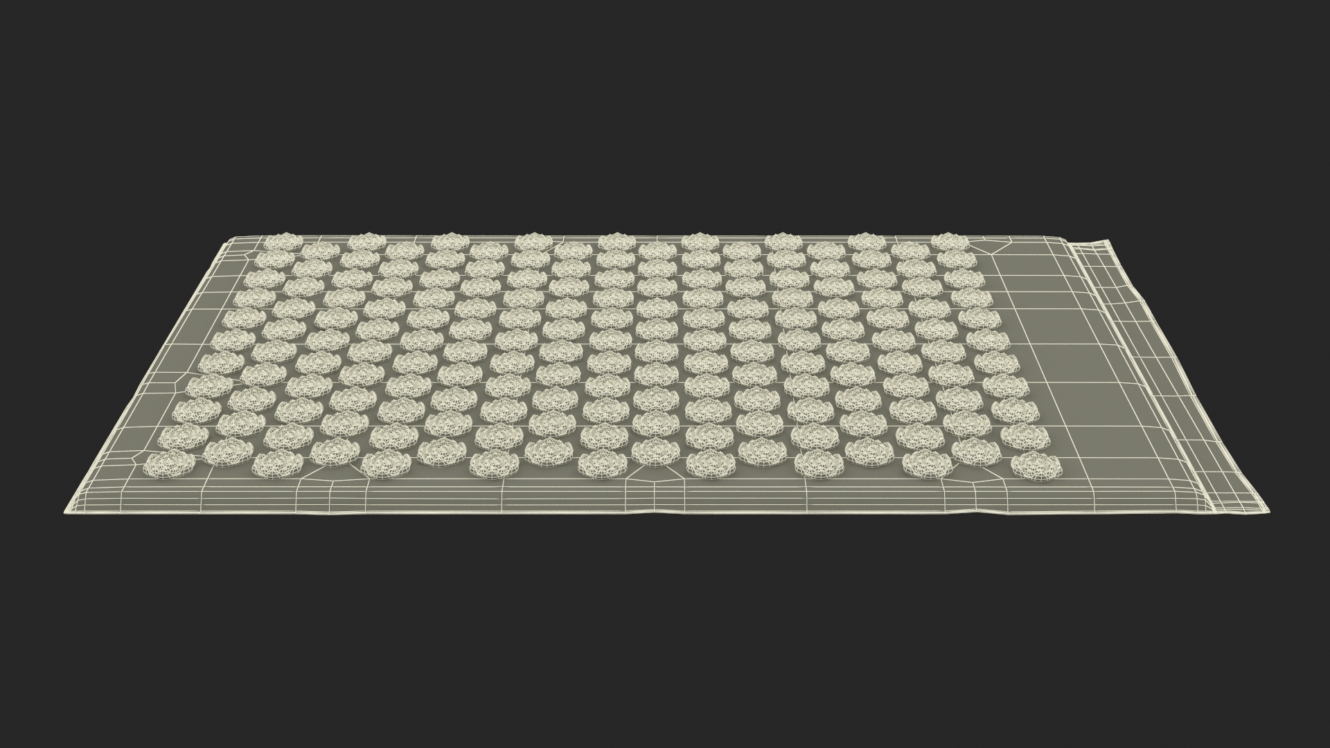 Massage Acupuncture Mat Black 3D model