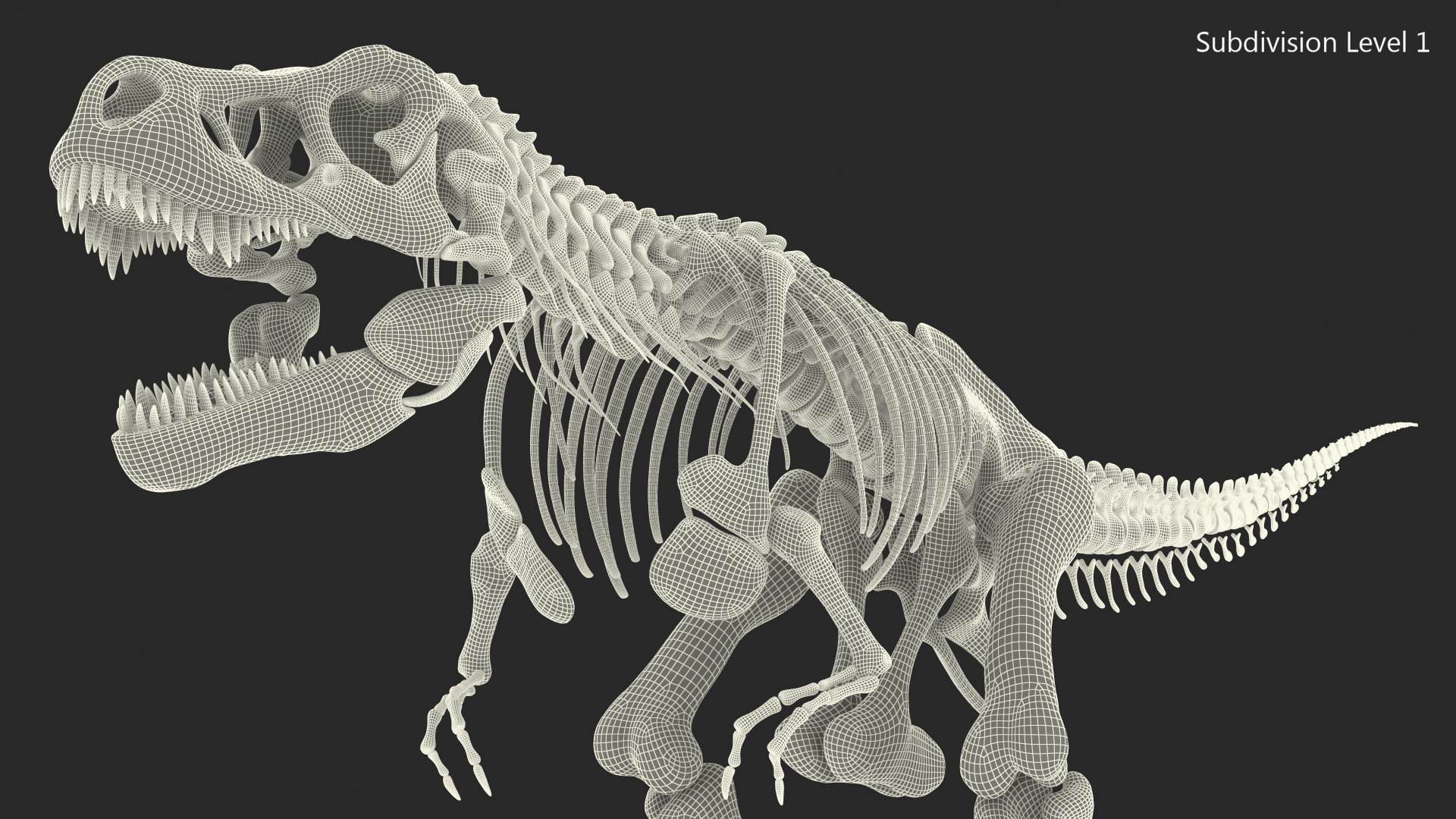 3D Tyrannosaurus Rex Skeleton Rigged model