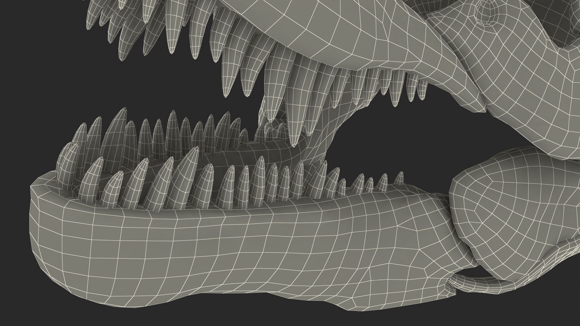 3D Tyrannosaurus Rex Skeleton Rigged model