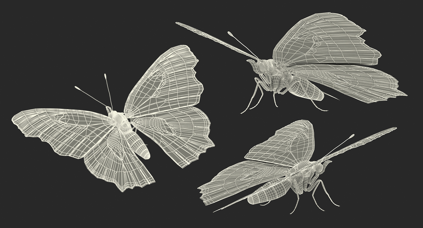 3D Aglais io Butterfly Sitting Pose with Fur
