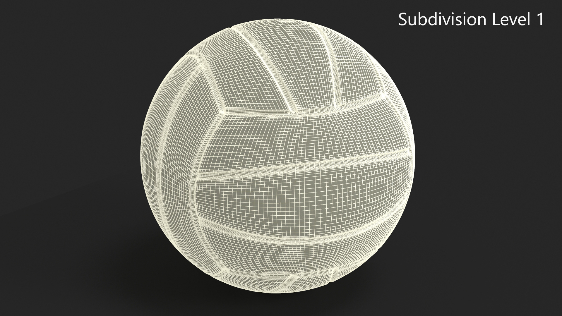 Water Polo Ball Mikasa 3D