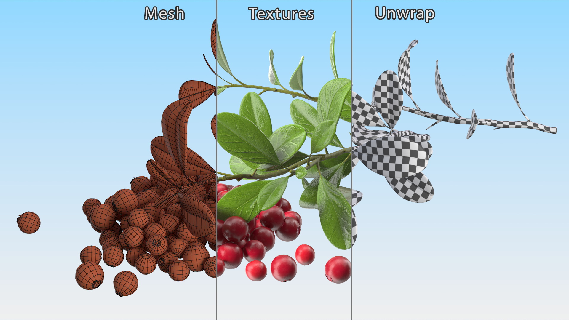 3D Pile of Cranberries with Branches model