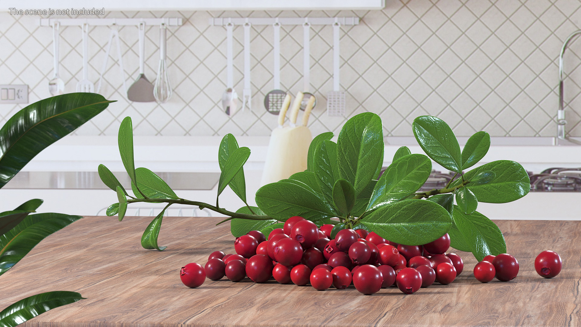 3D Pile of Cranberries with Branches model