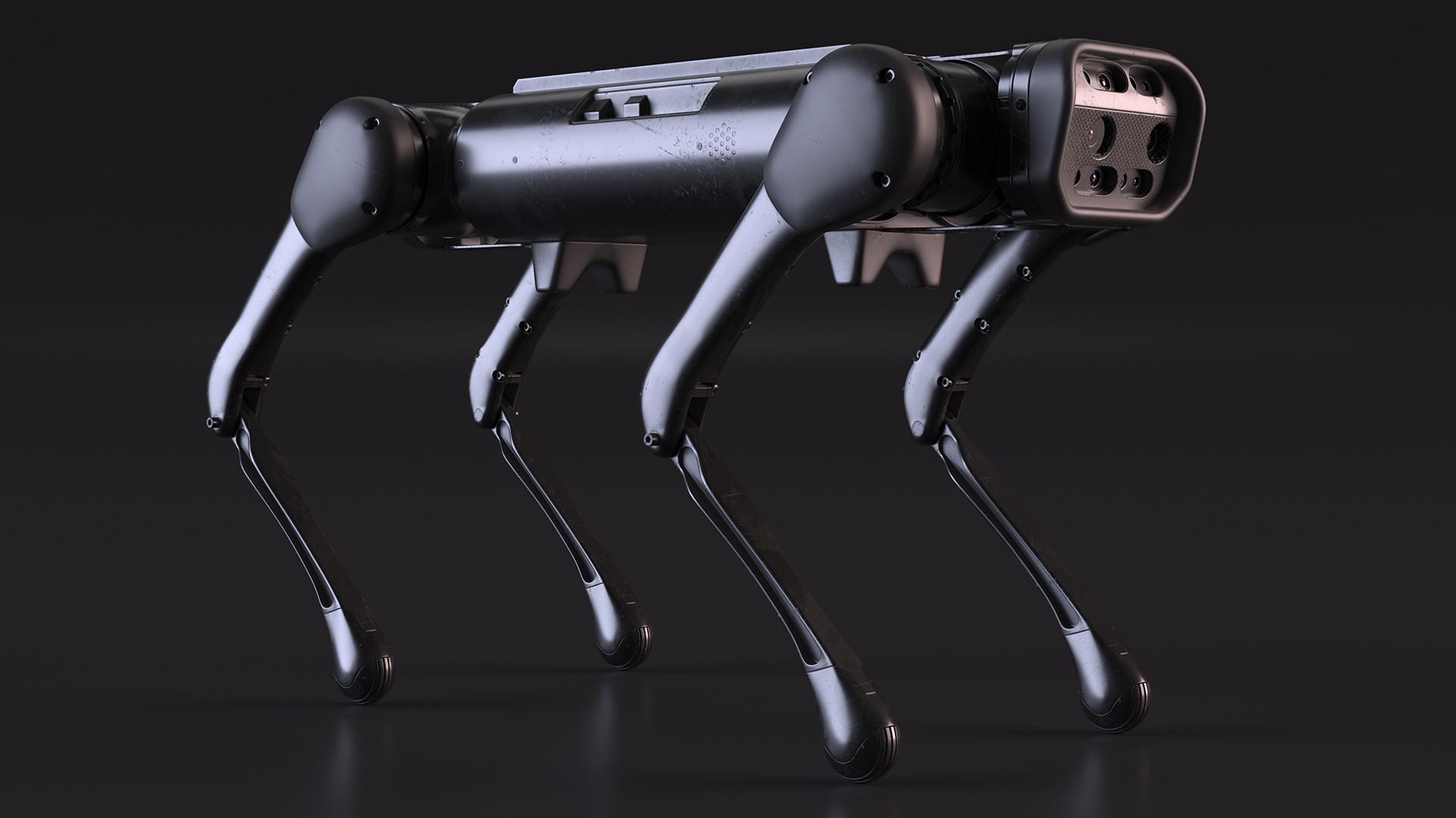 3D Dirty Aliengo Robot Dog model