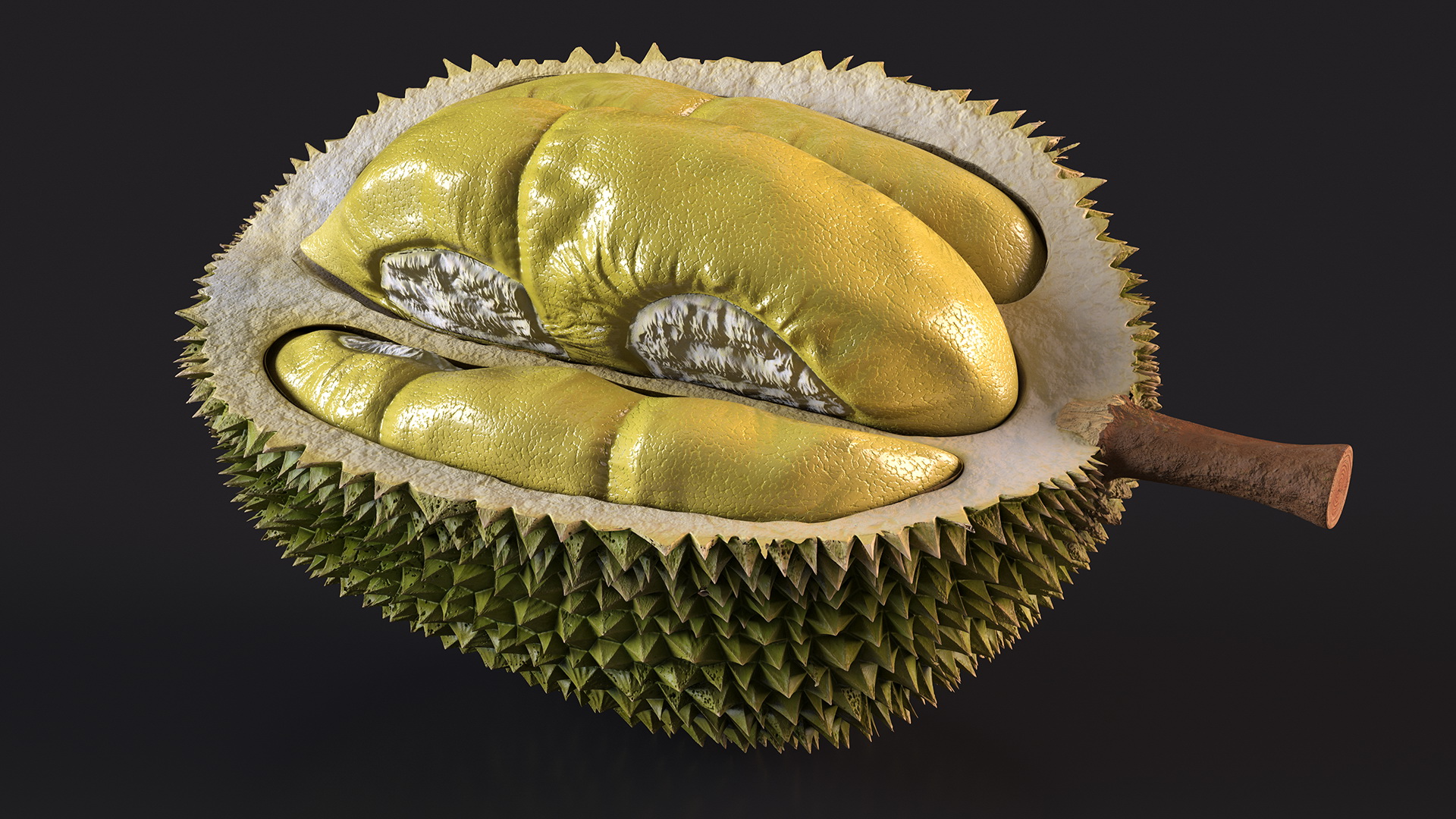 Durian Fresh Cut in Half 3D model