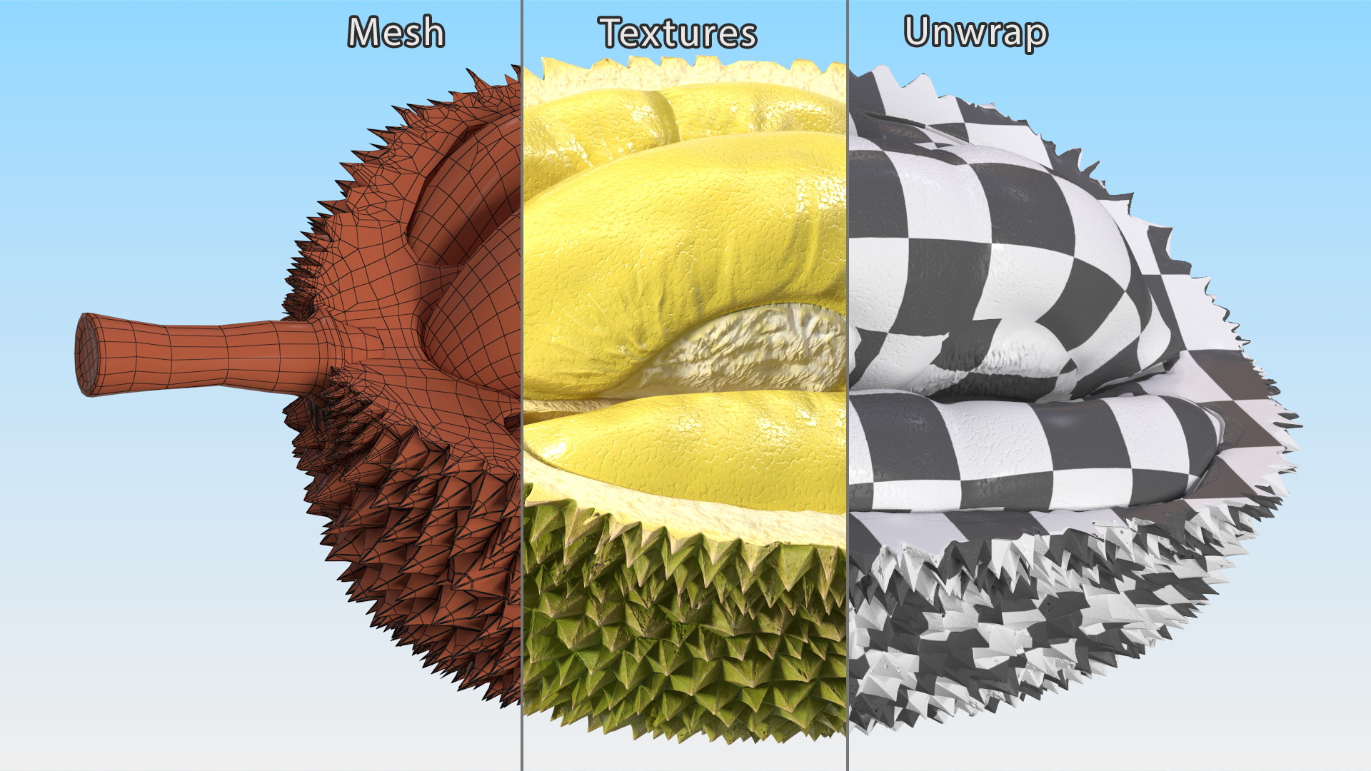 Durian Fresh Cut in Half 3D model