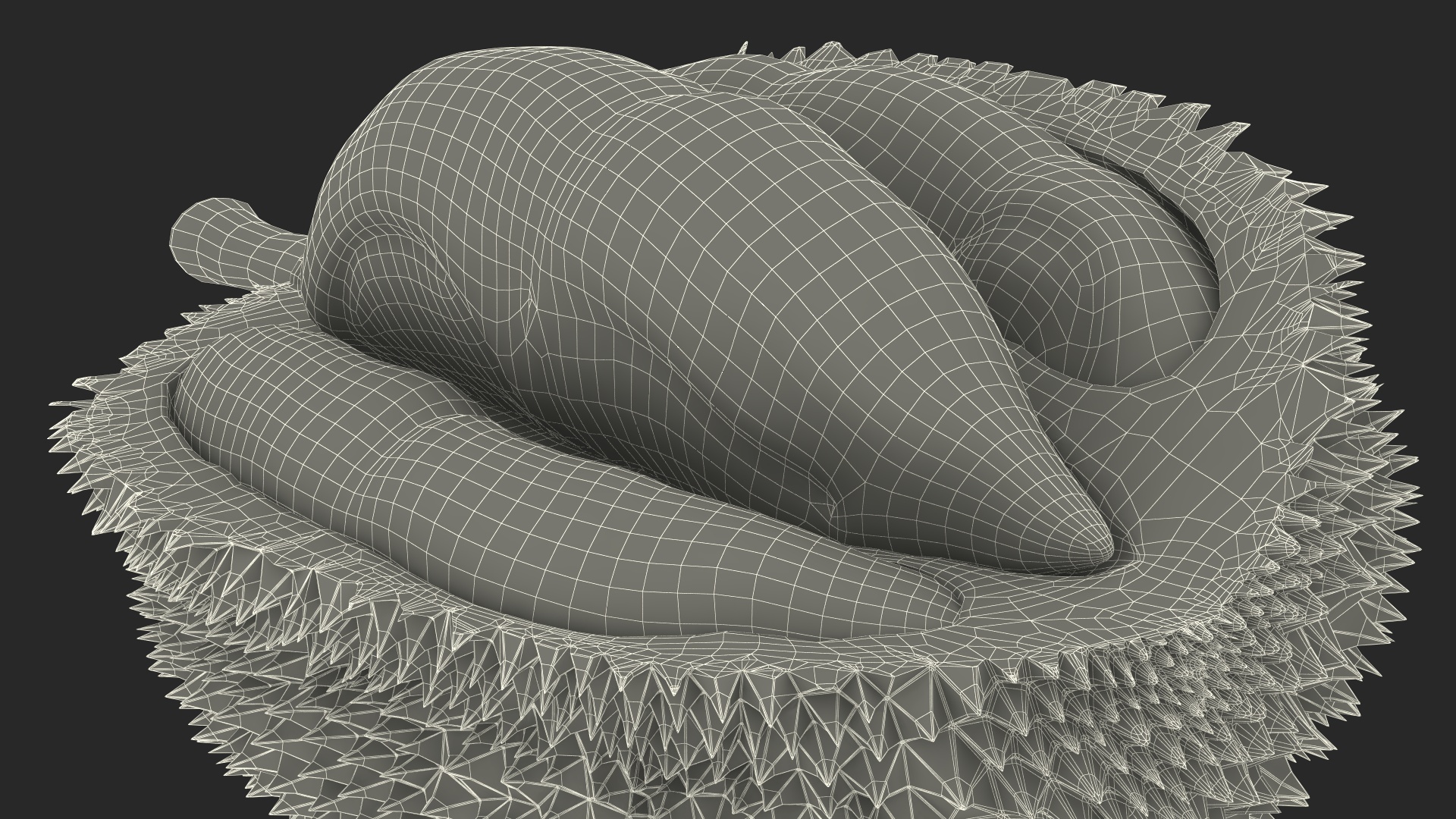 Durian Fresh Cut in Half 3D model