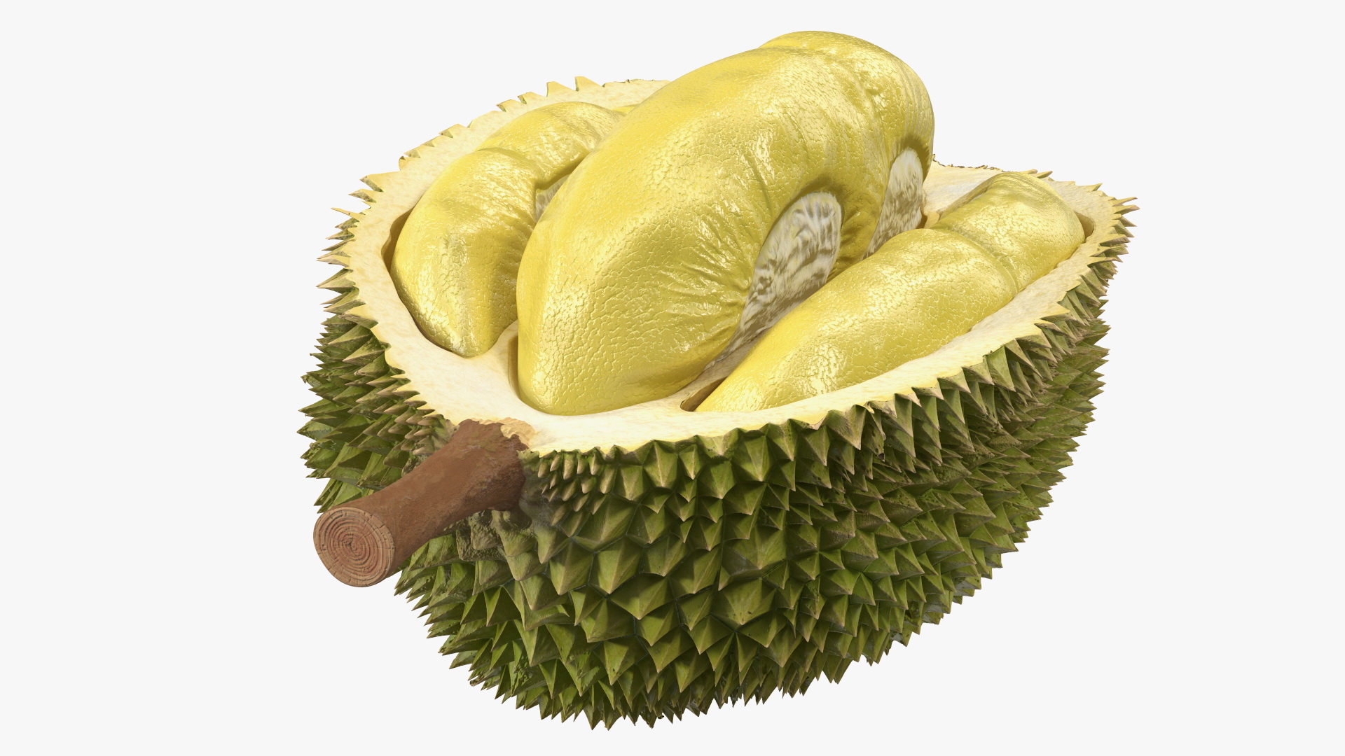Durian Fresh Cut in Half 3D model
