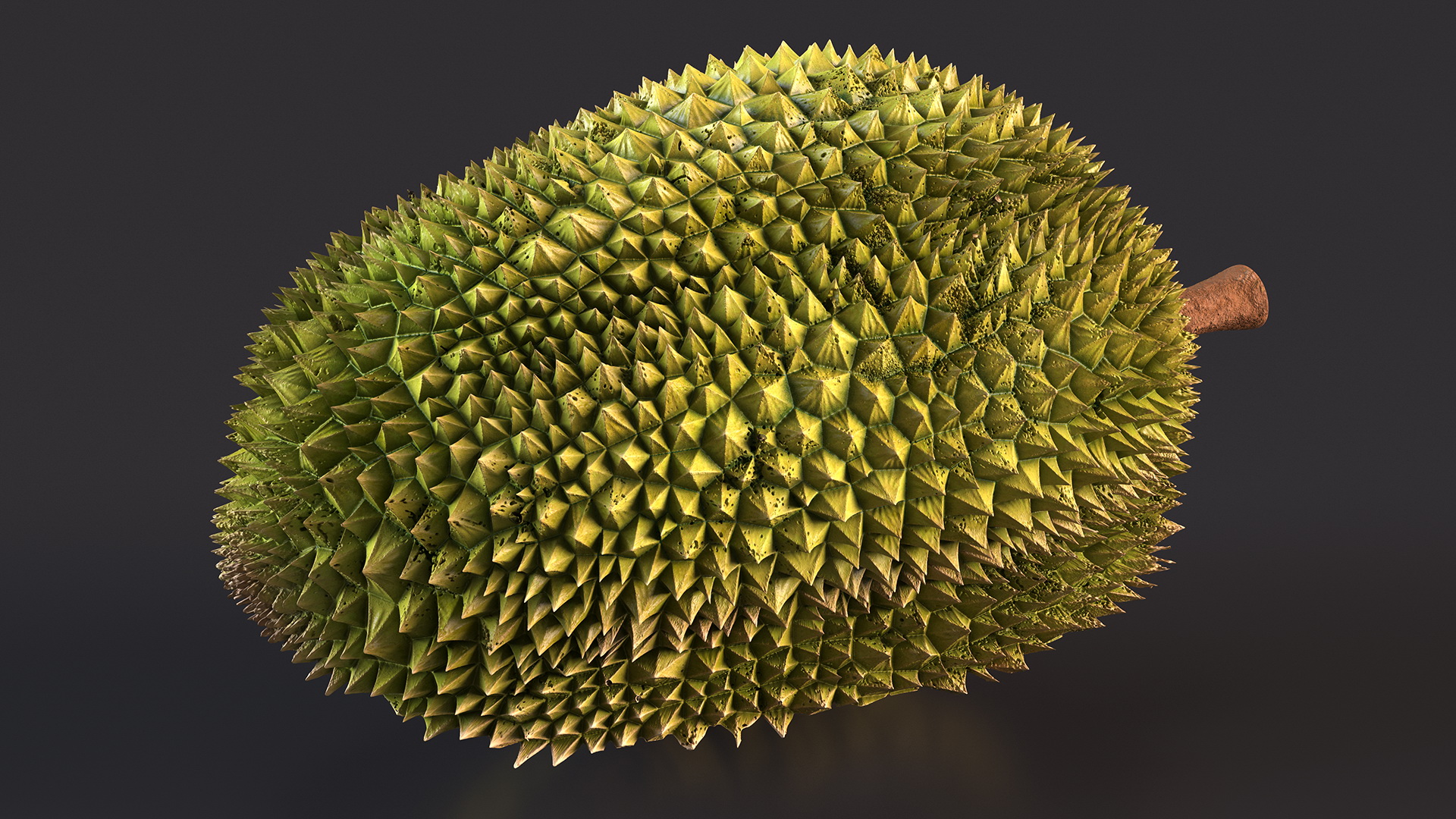 Durian Fresh Cut in Half 3D model