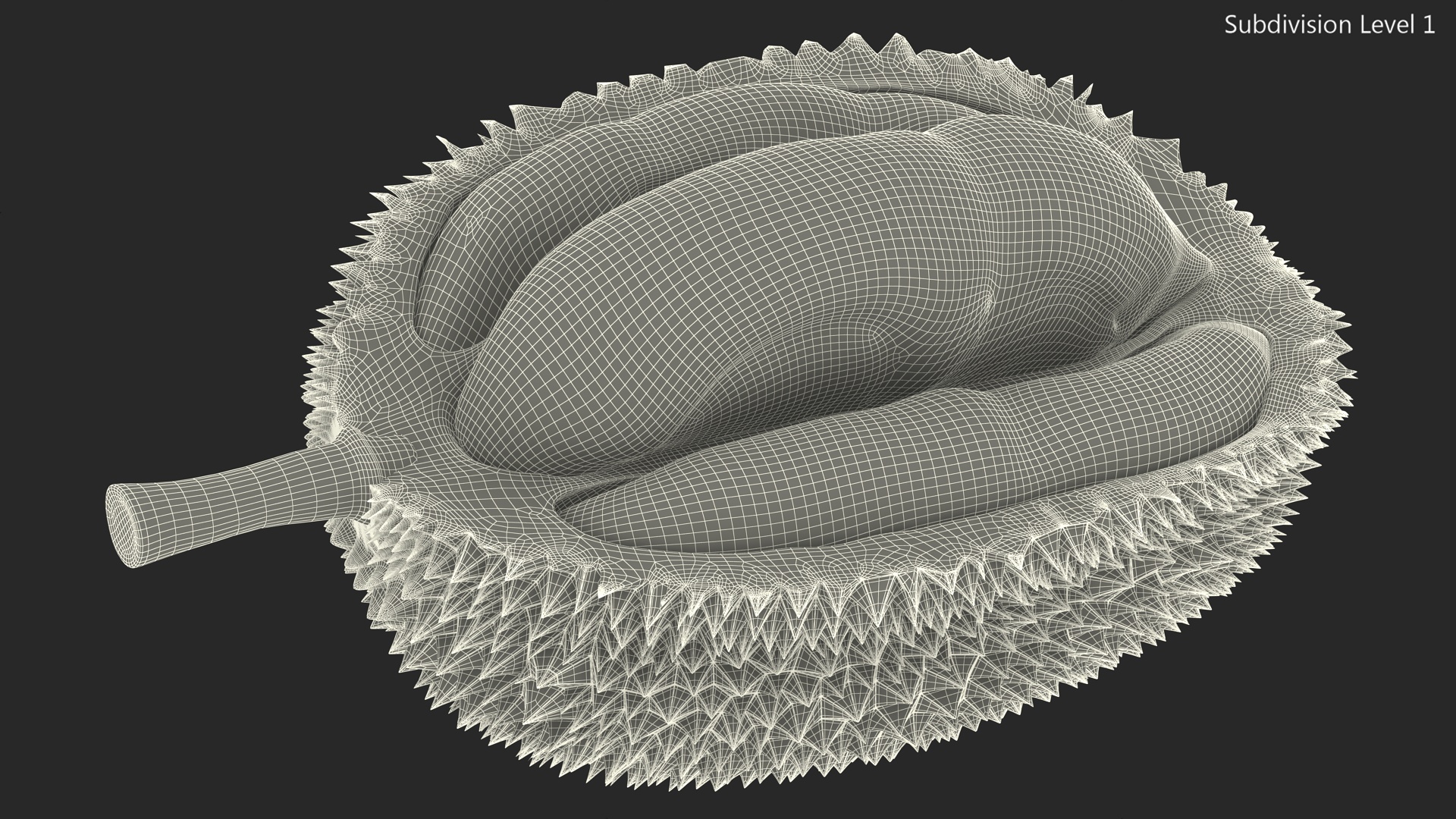 Durian Fresh Cut in Half 3D model