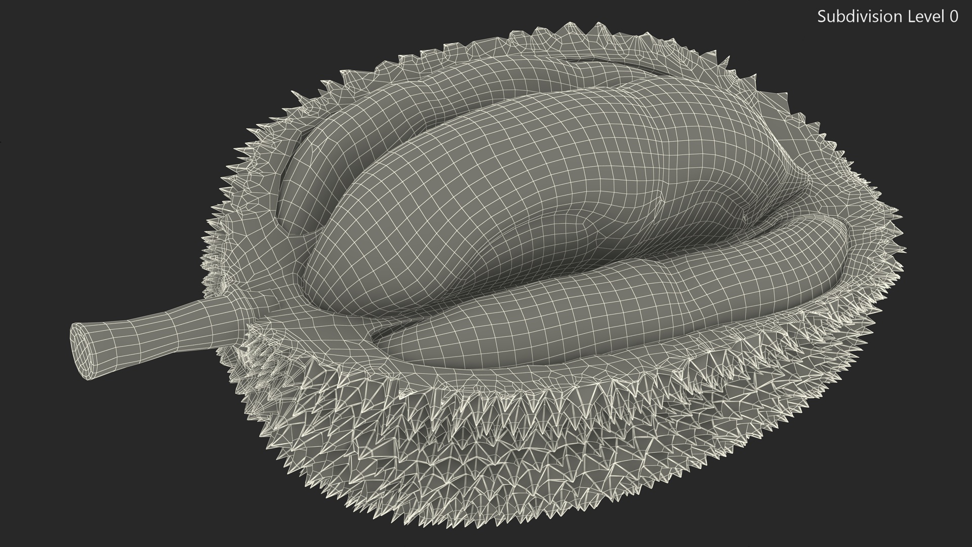 Durian Fresh Cut in Half 3D model
