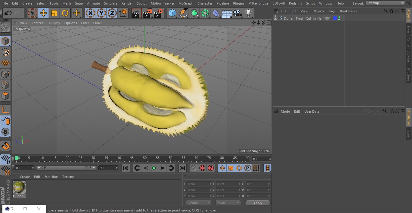Durian Fresh Cut in Half 3D model