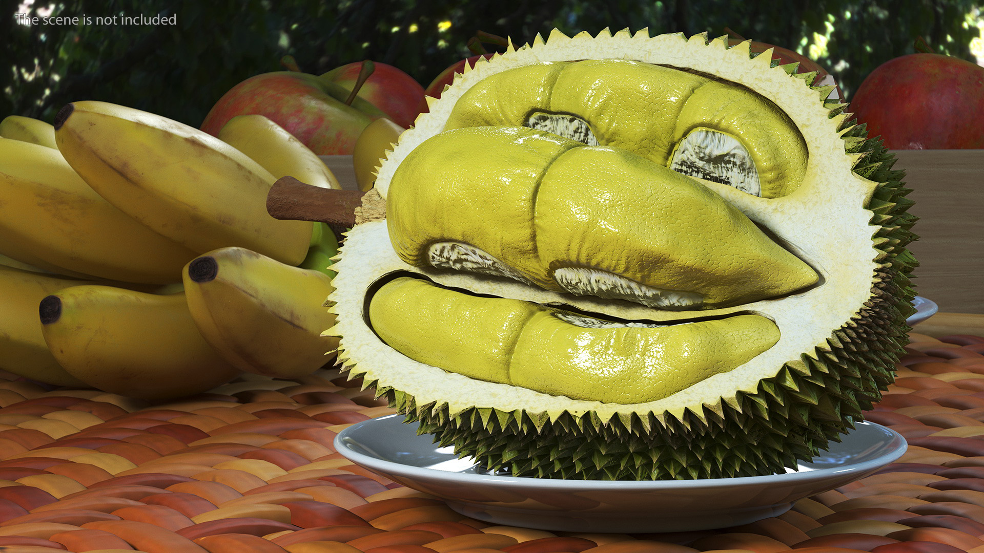 Durian Fresh Cut in Half 3D model