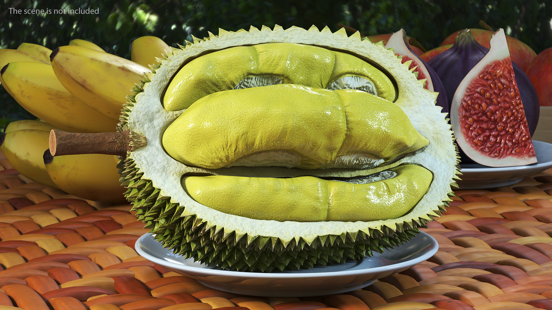 Durian Fresh Cut in Half 3D model