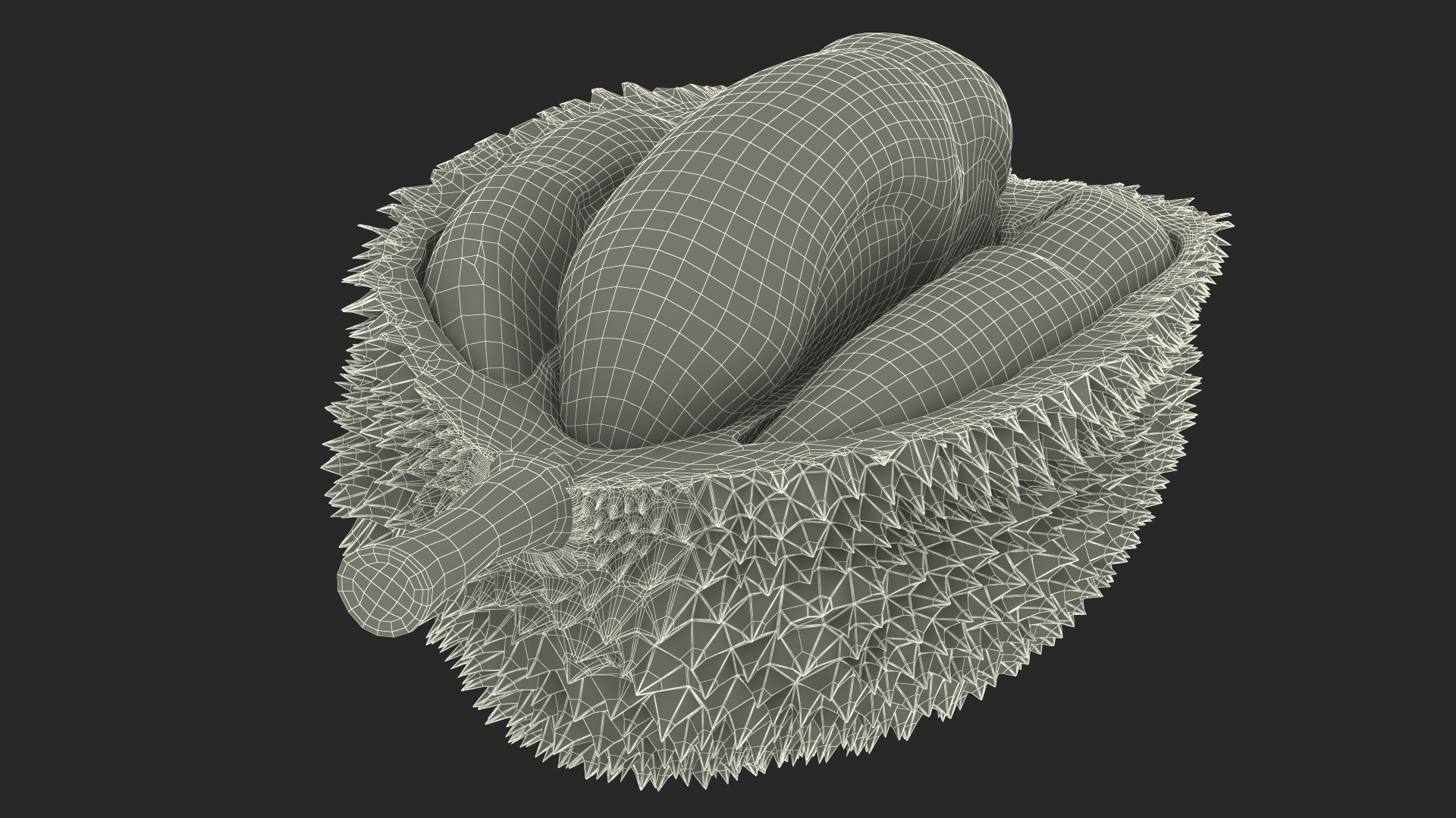 Durian Fresh Cut in Half 3D model