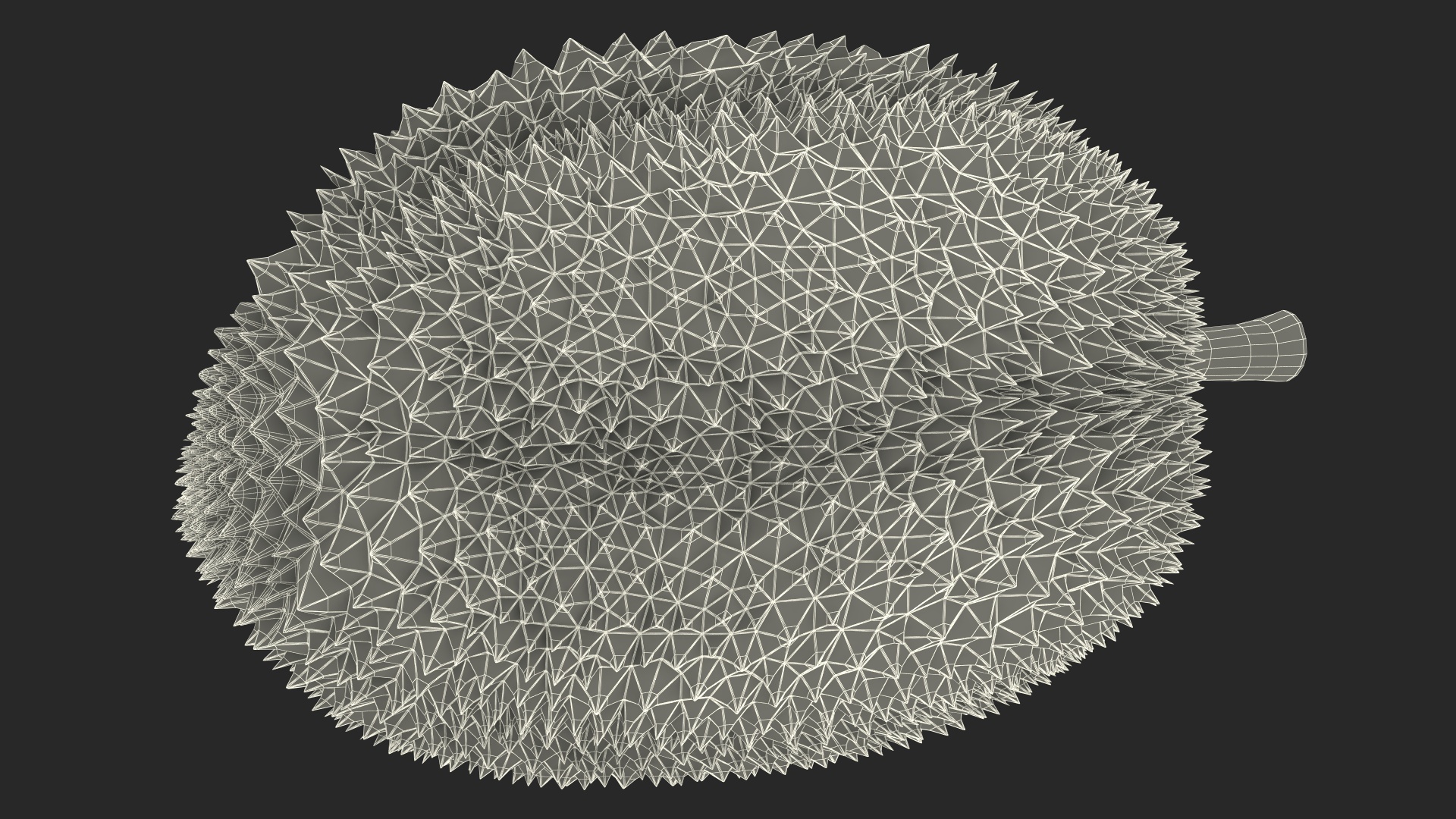 Durian Fresh Cut in Half 3D model