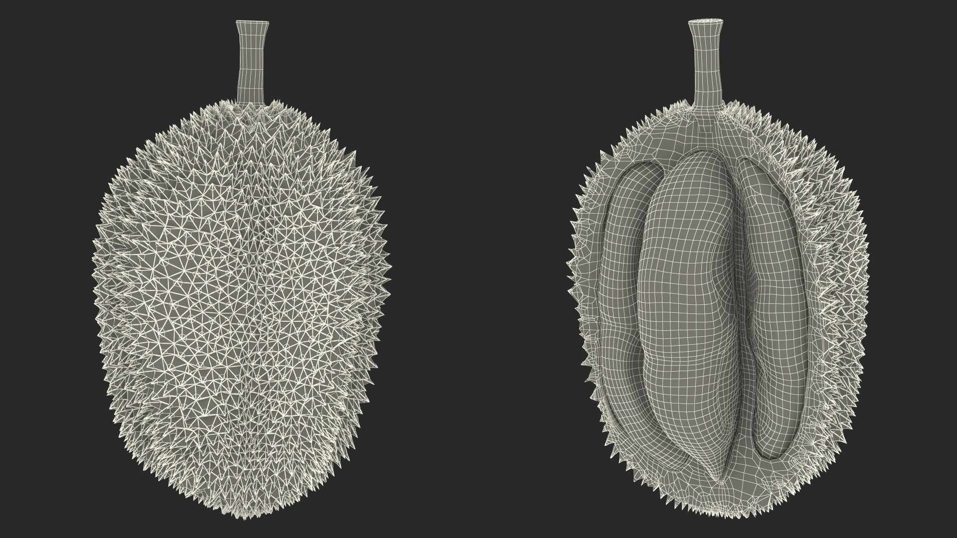 Durian Fresh Cut in Half 3D model
