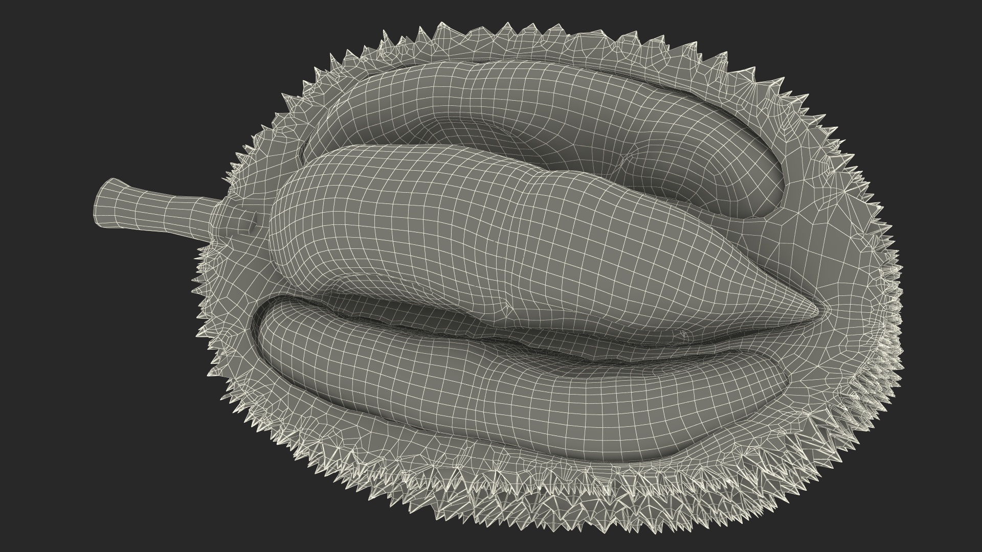 Durian Fresh Cut in Half 3D model