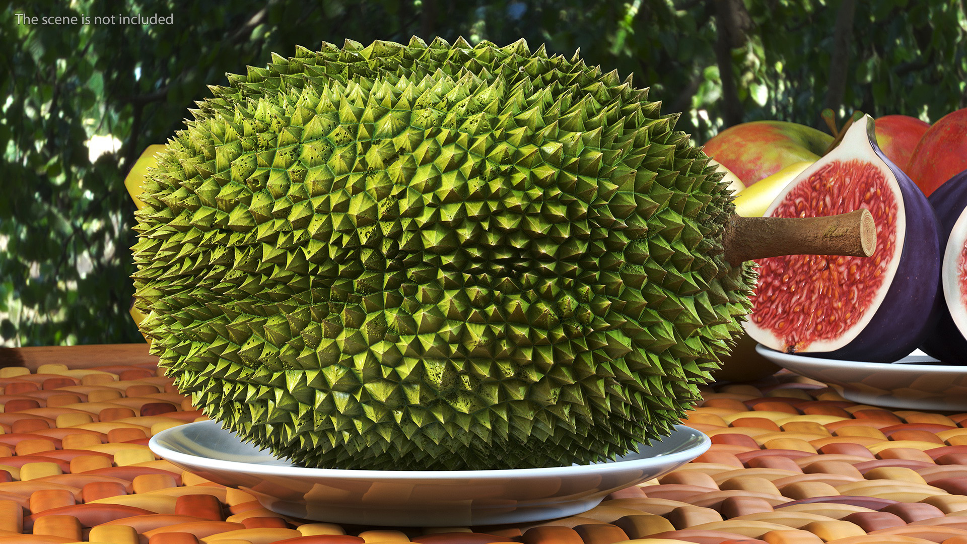 Durian Fresh Cut in Half 3D model