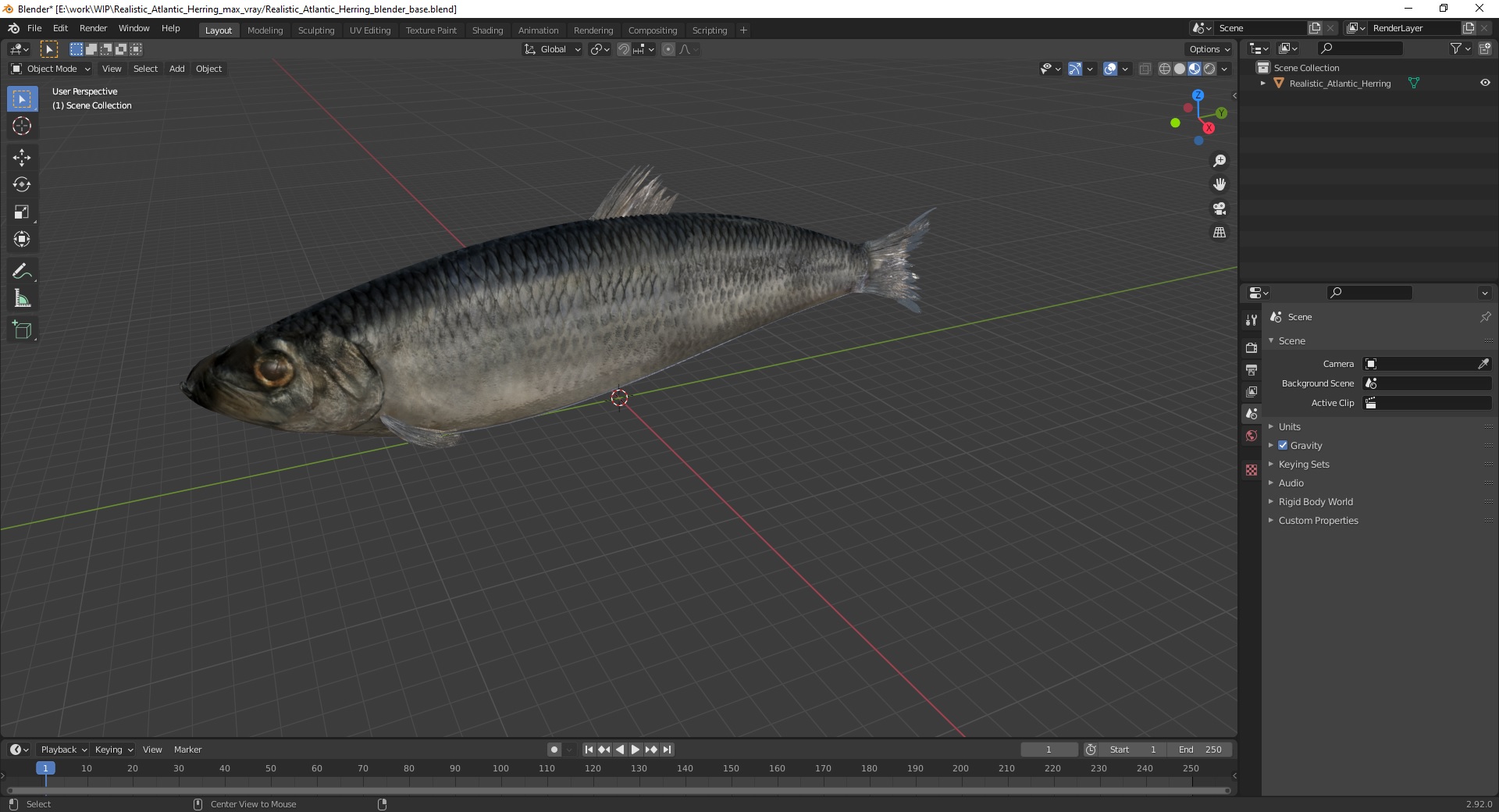 3D Realistic Atlantic Herring