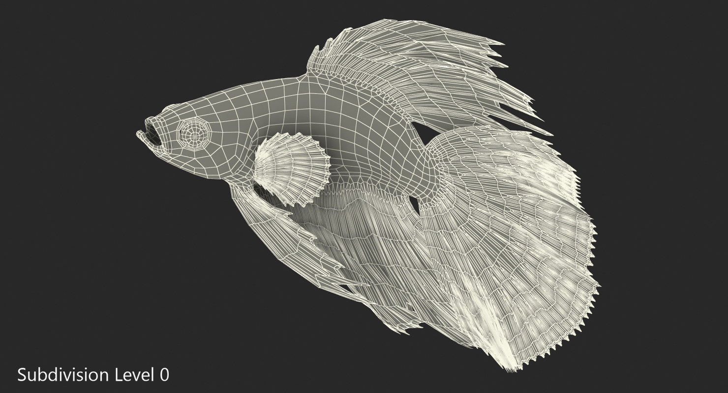Blue Betta Fish Rigged 3D