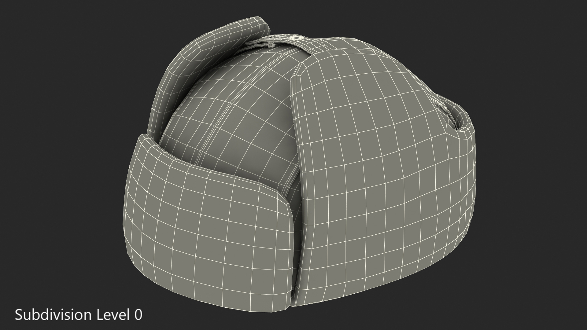 Winter Trapper Hat Fur 3D