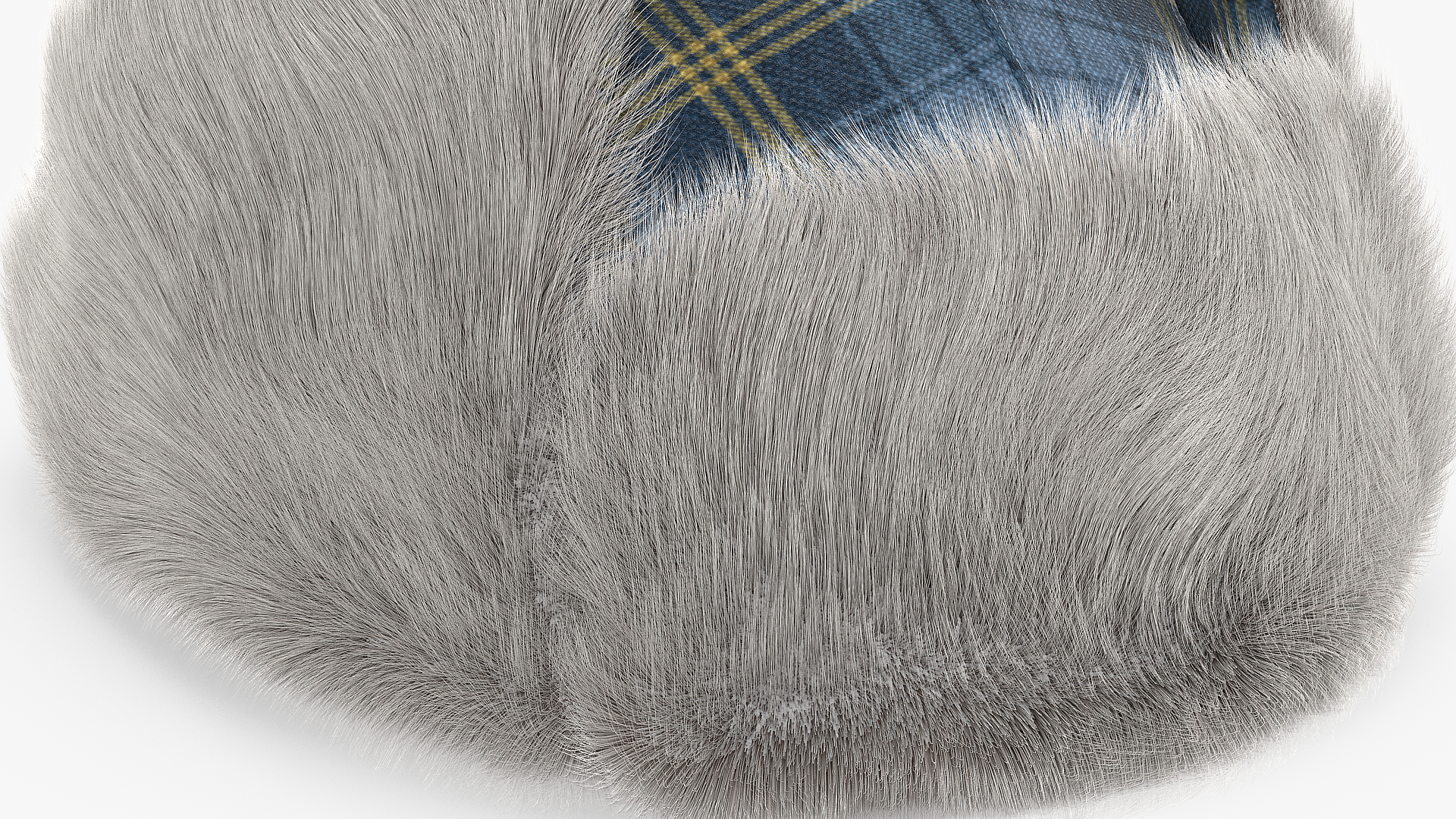 Winter Trapper Hat Fur 3D