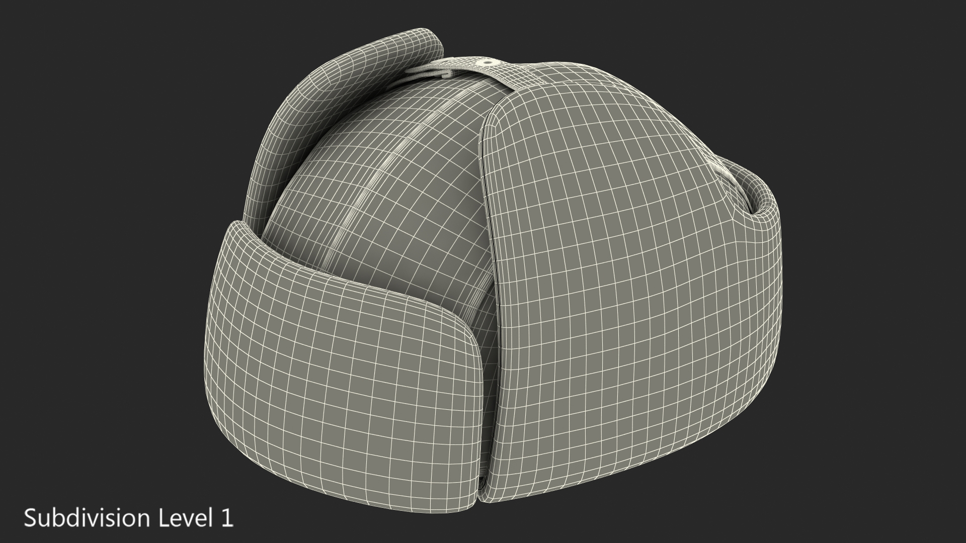 Winter Trapper Hat Fur 3D