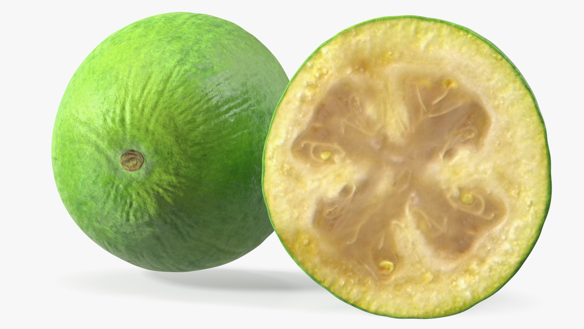 Feijoa Fruit Halves 3D model