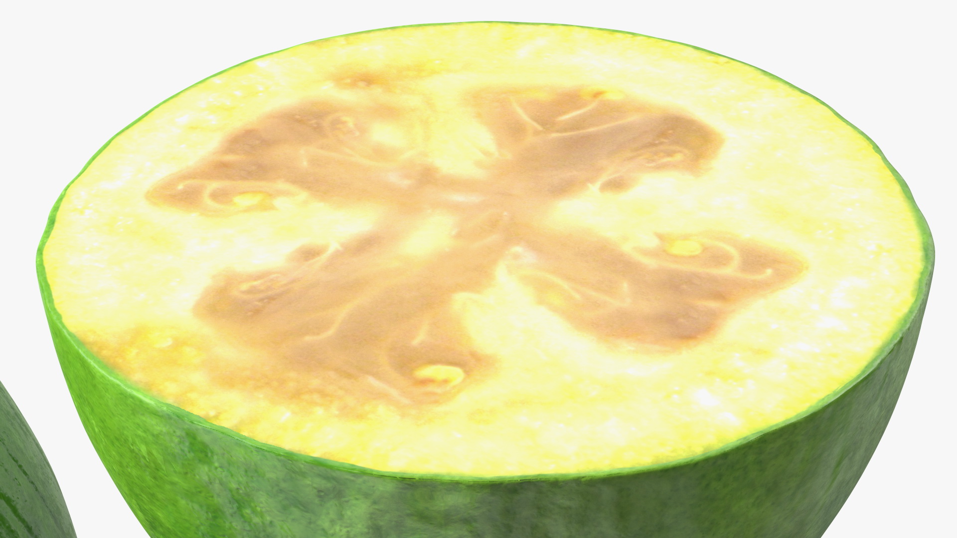 Feijoa Fruit Halves 3D model