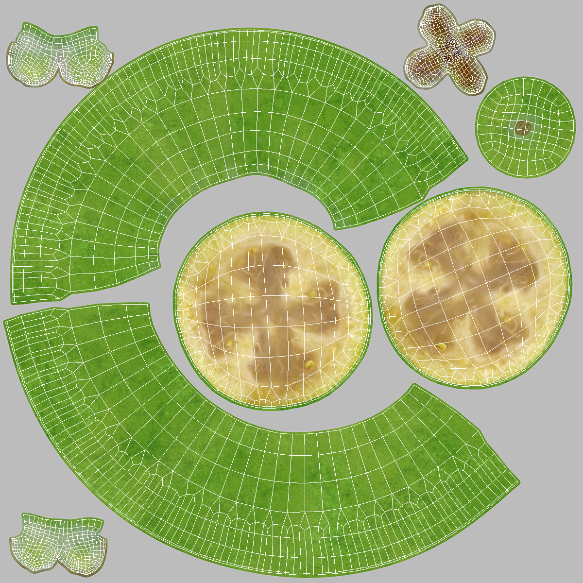 Feijoa Fruit Halves 3D model