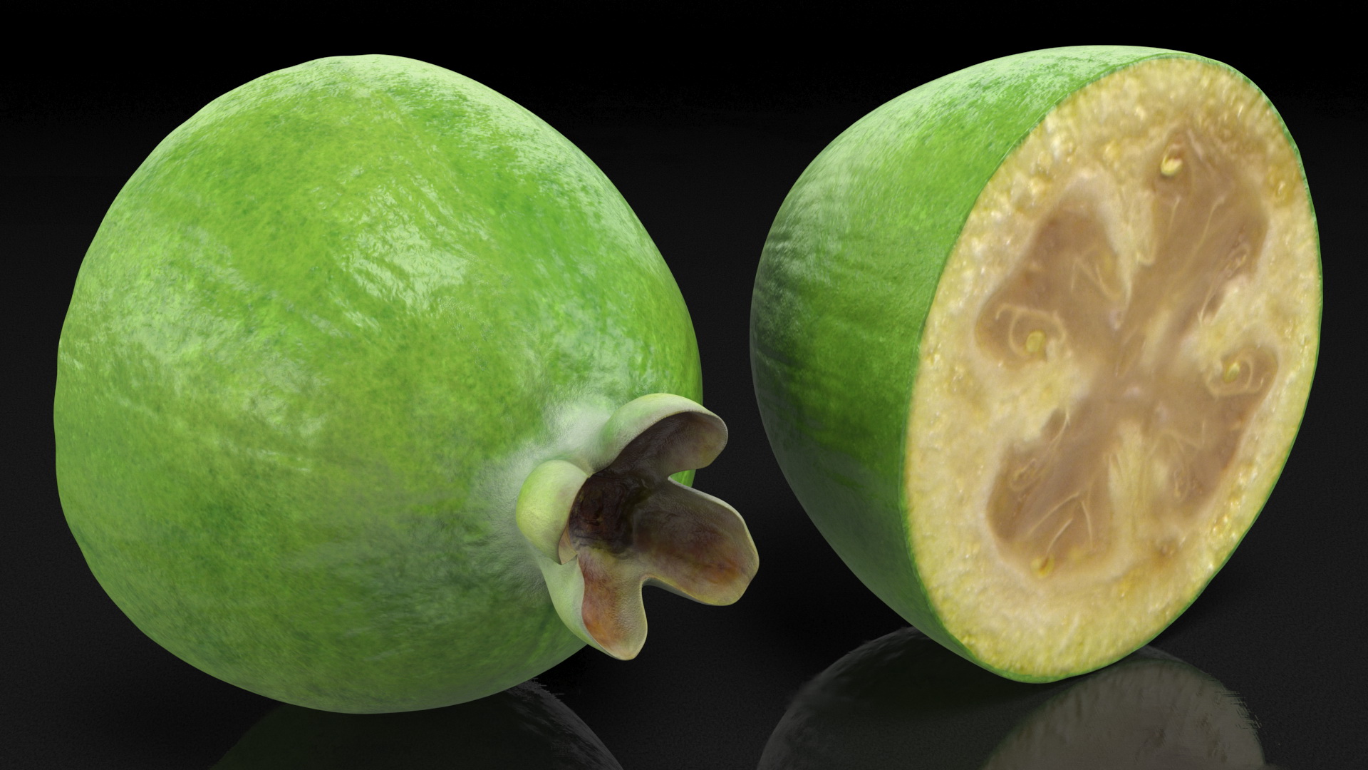 Feijoa Fruit Halves 3D model