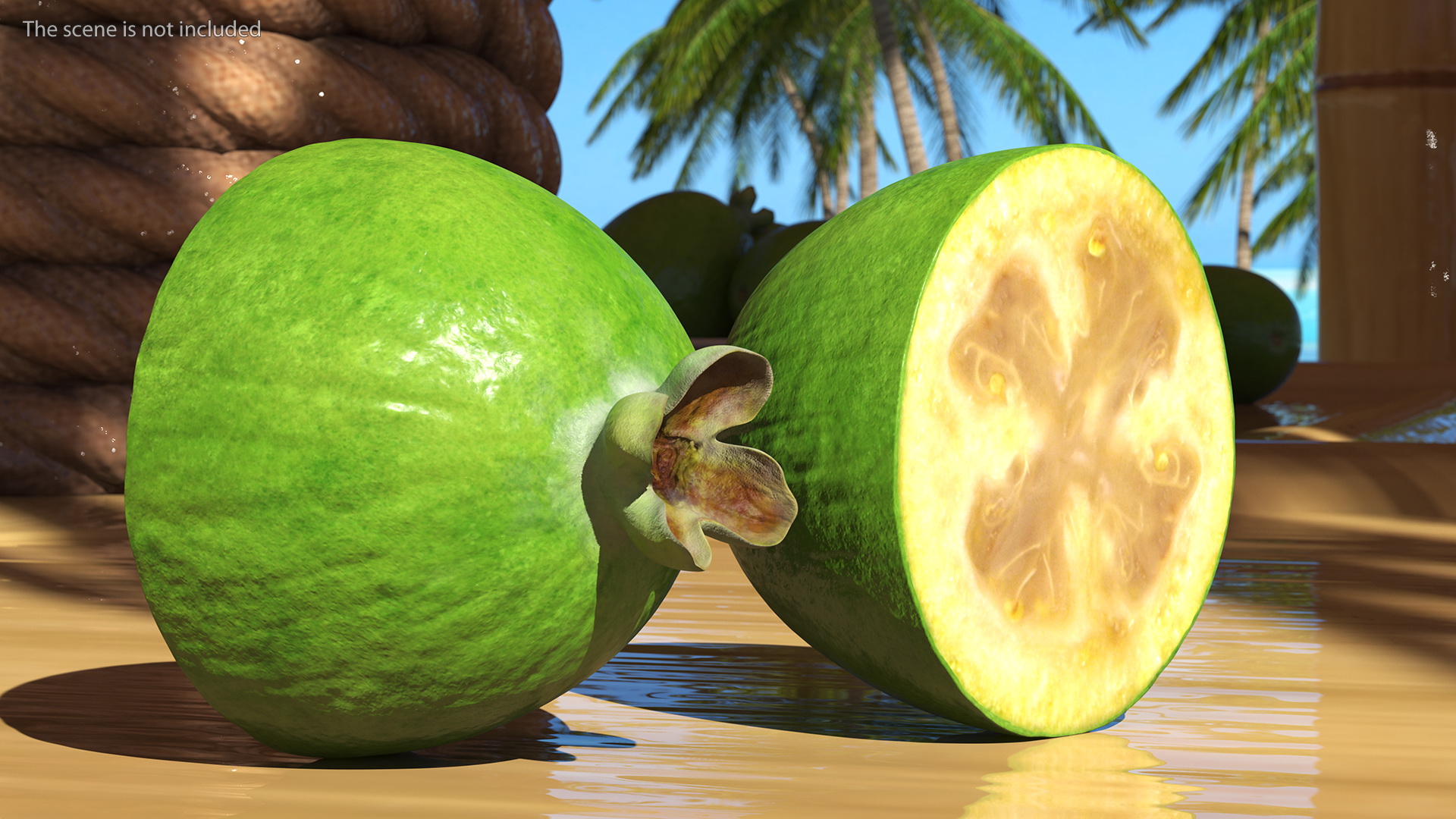 Feijoa Fruit Halves 3D model