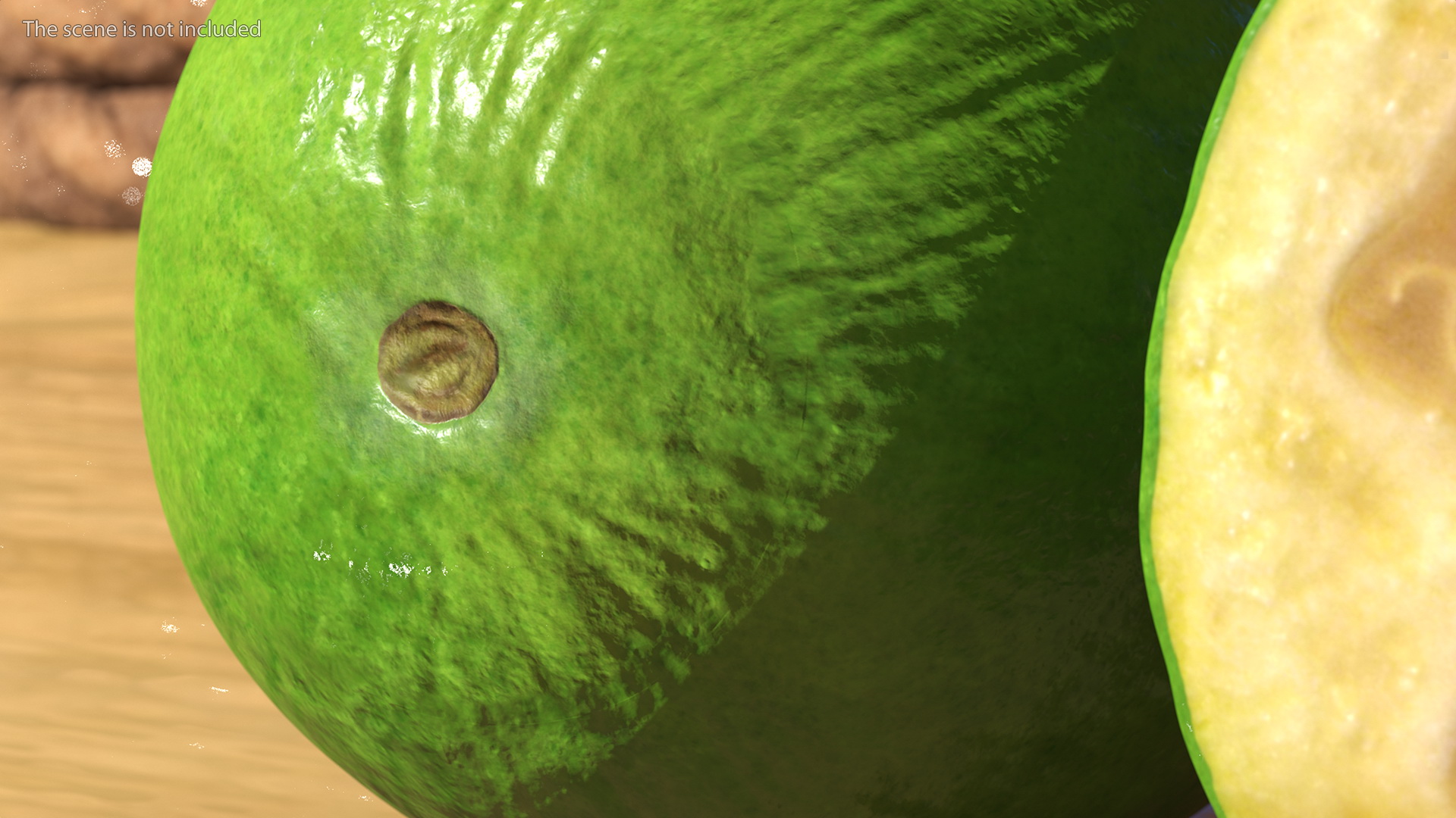 Feijoa Fruit Halves 3D model