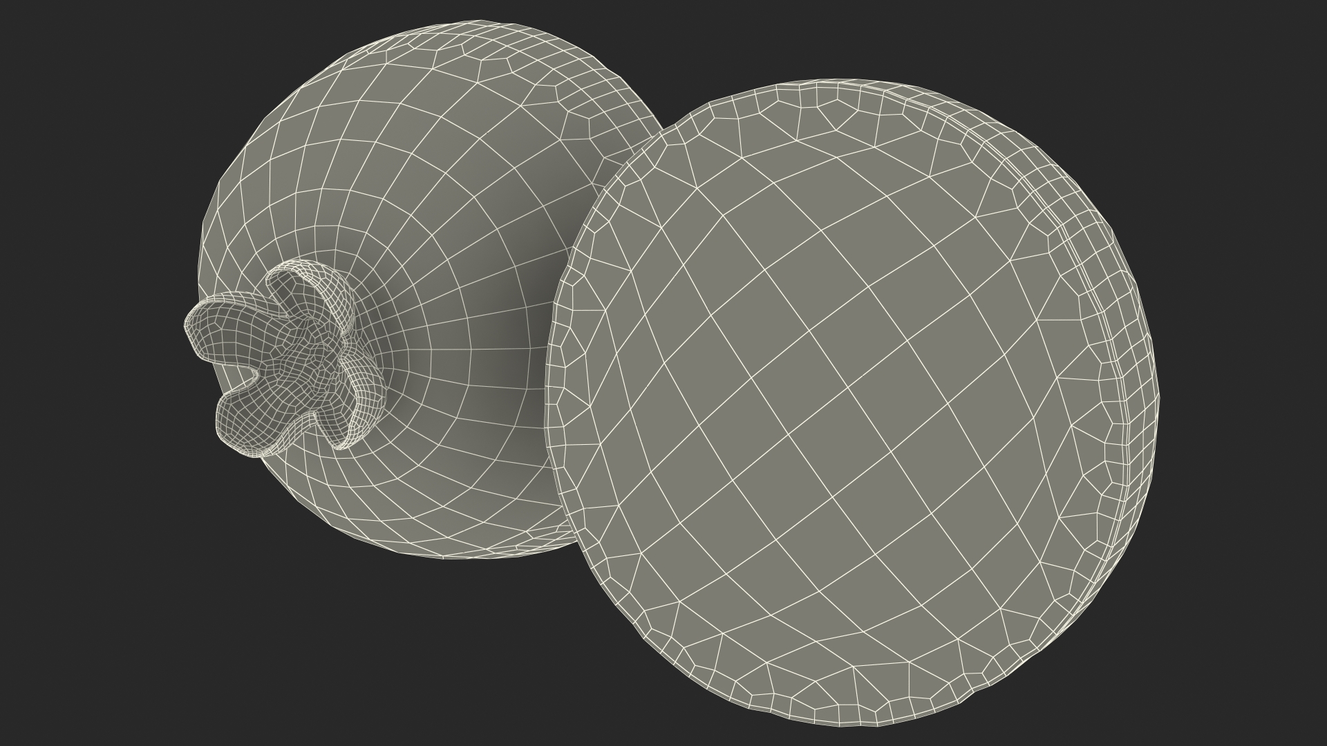Feijoa Fruit Halves 3D model