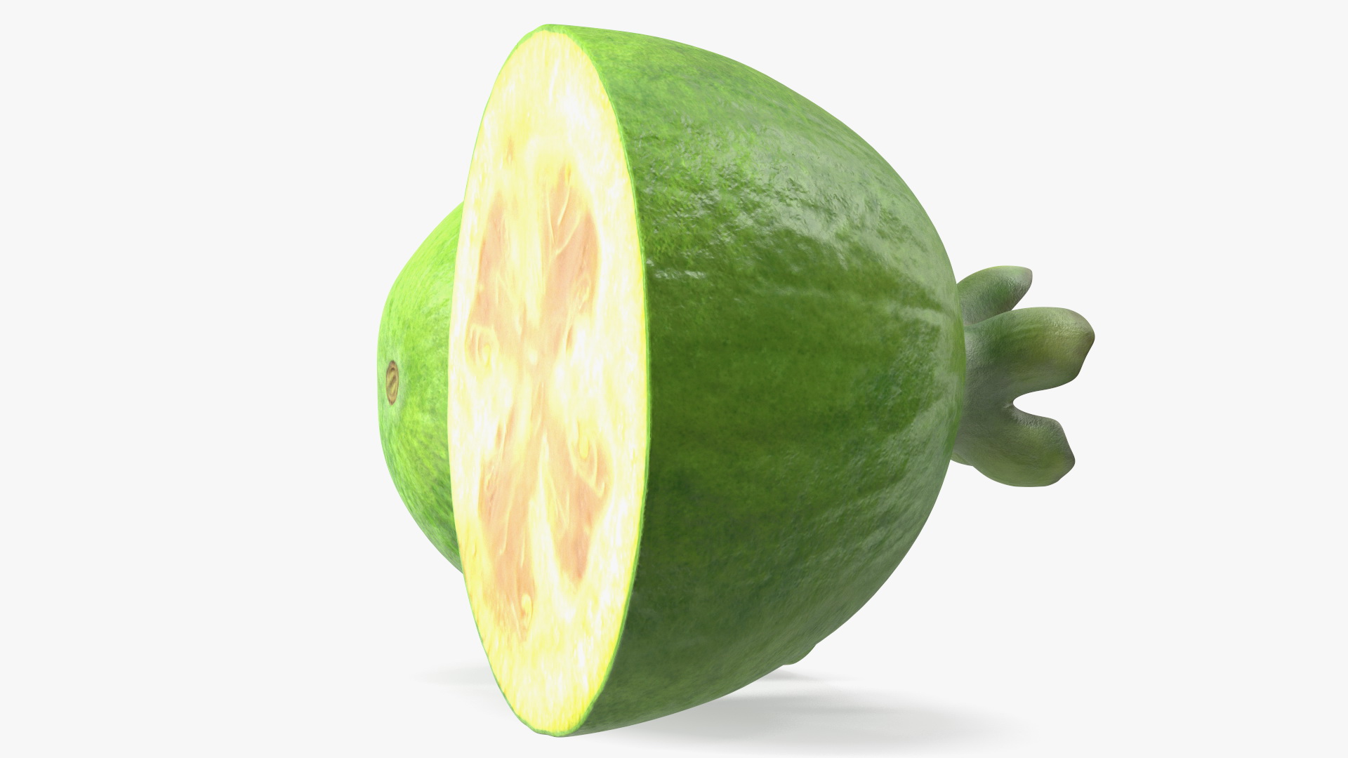 Feijoa Fruit Halves 3D model