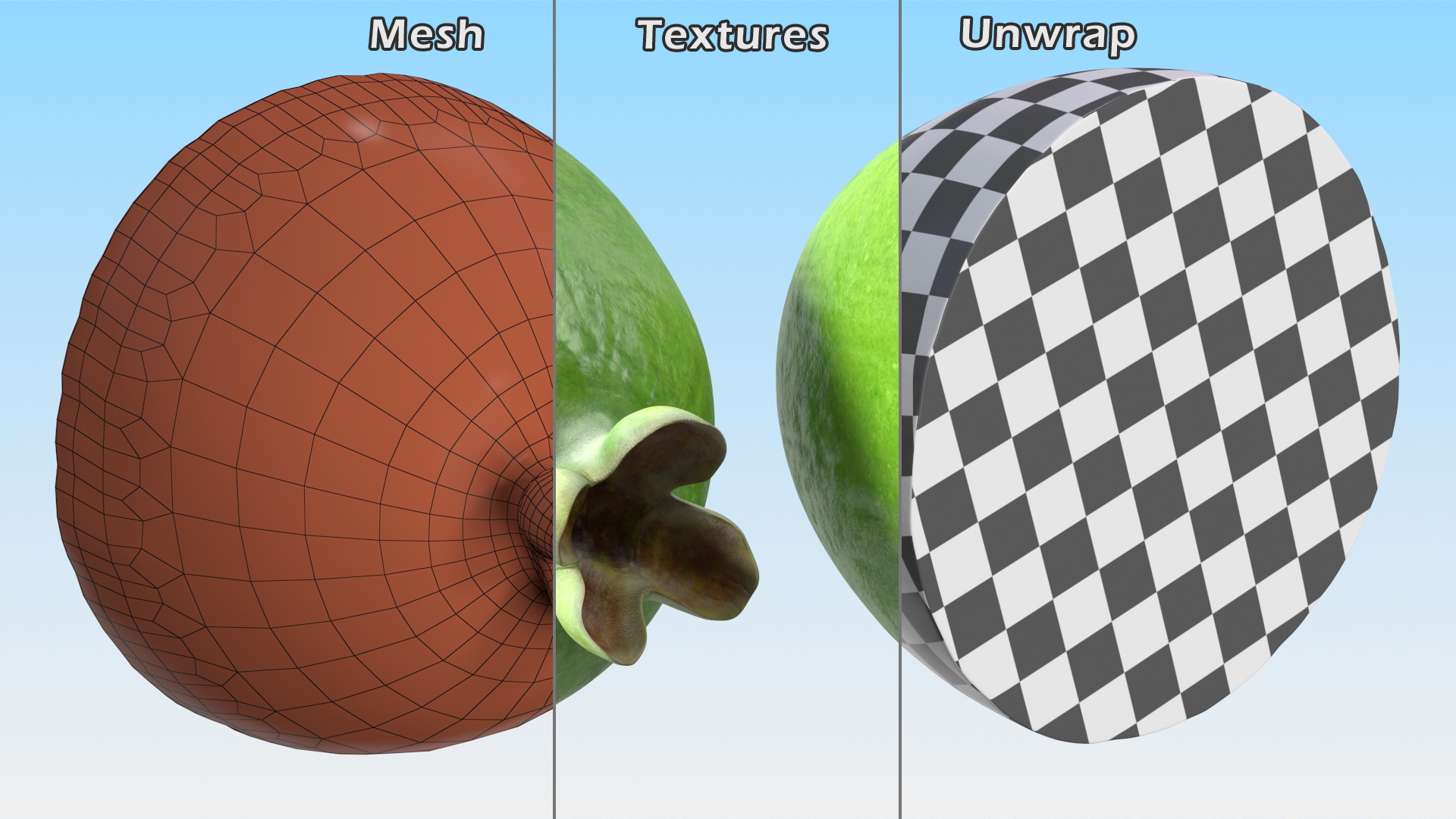 Feijoa Fruit Halves 3D model
