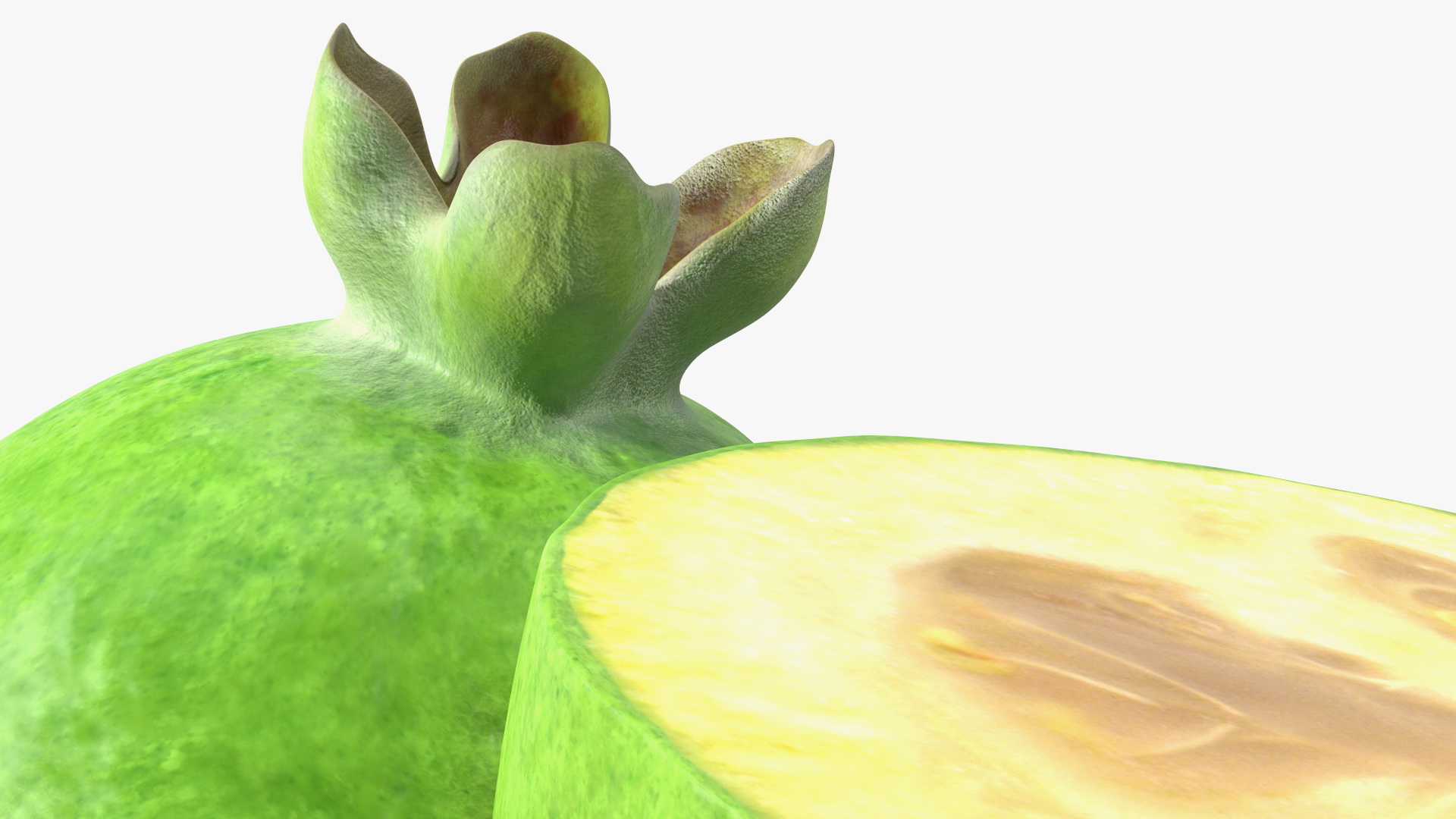 Feijoa Fruit Halves 3D model