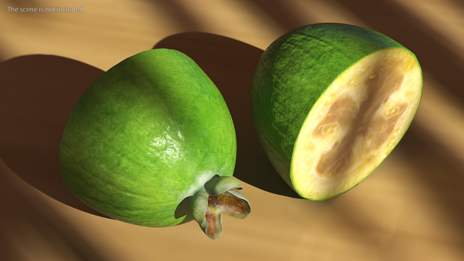 Feijoa Fruit Halves 3D model