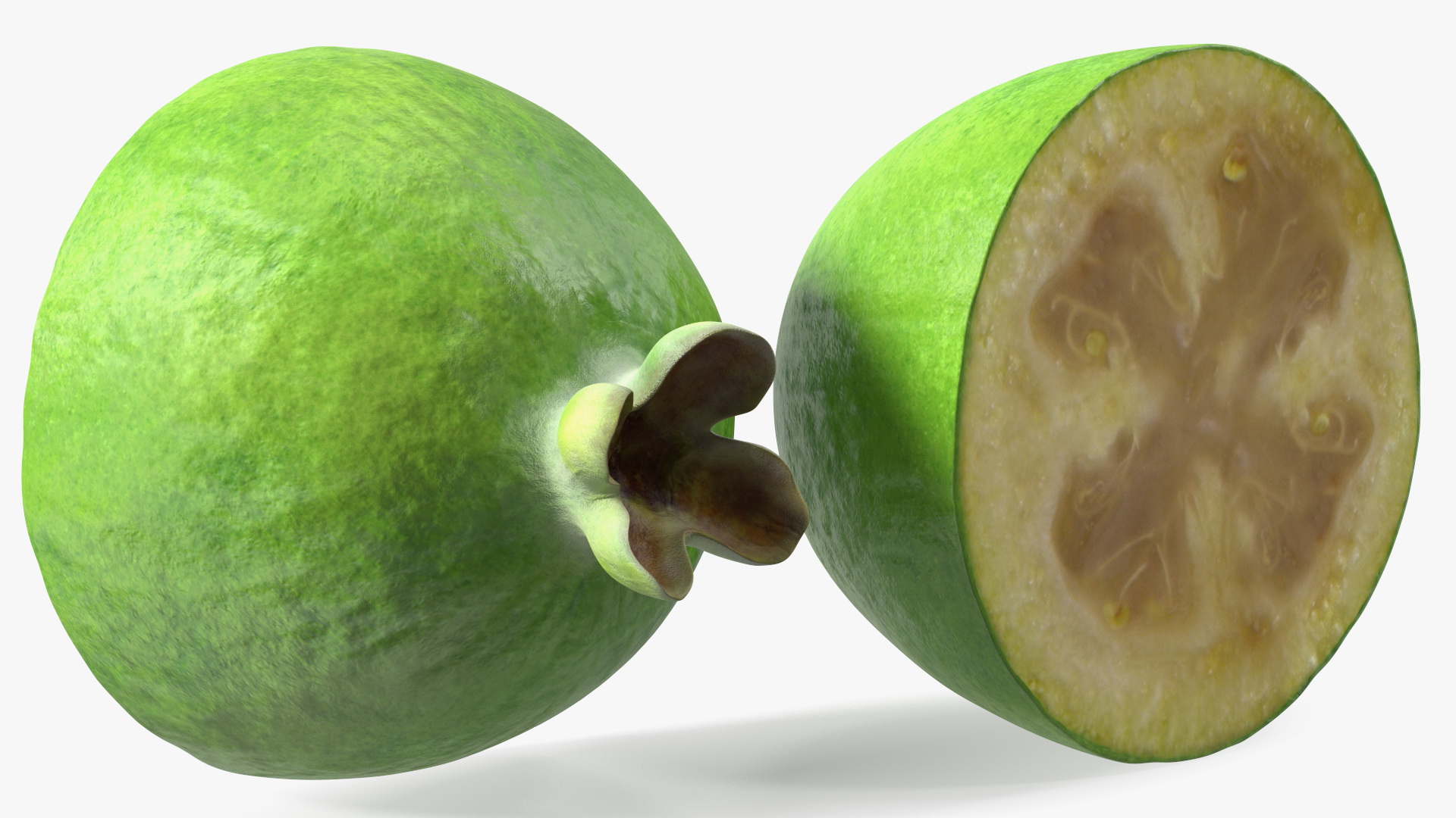 Feijoa Fruit Halves 3D model